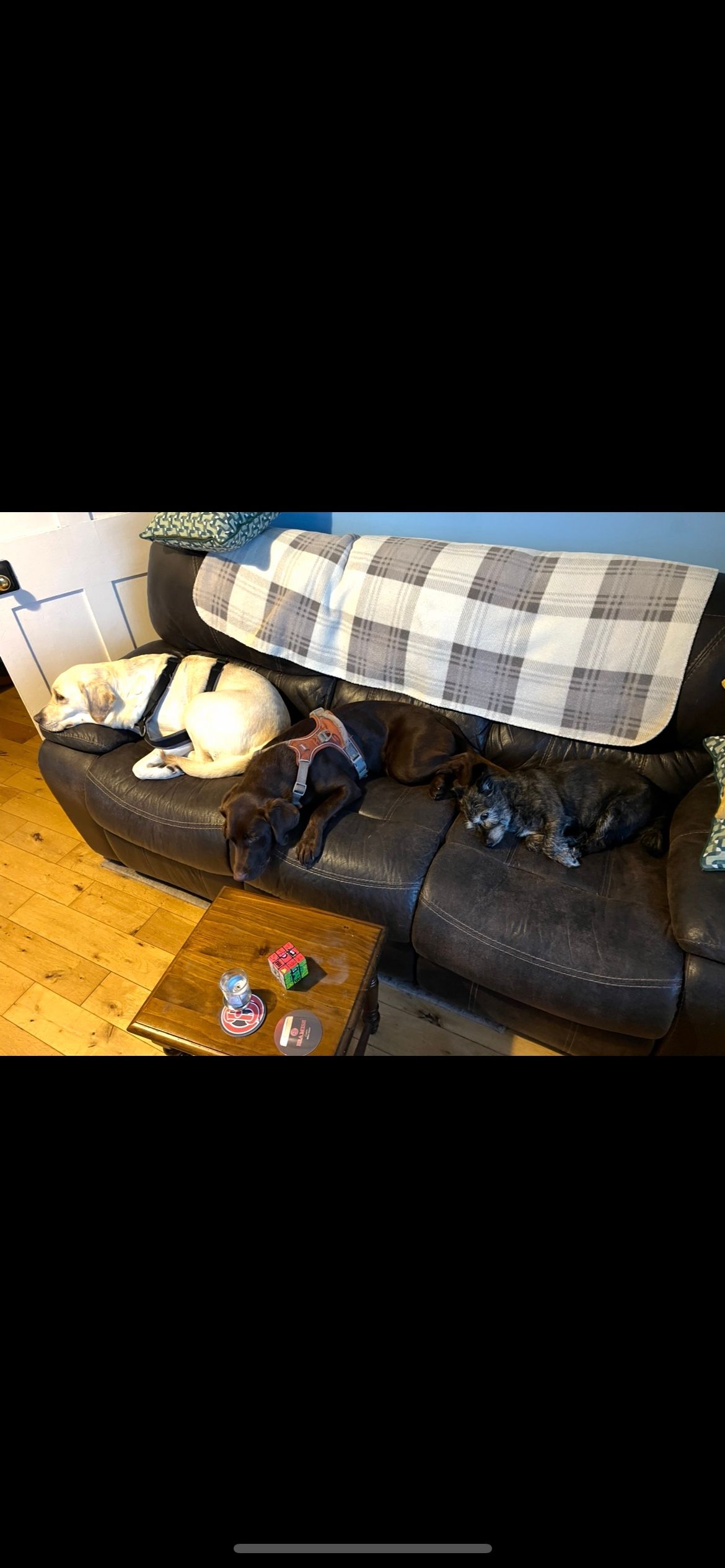 image-19