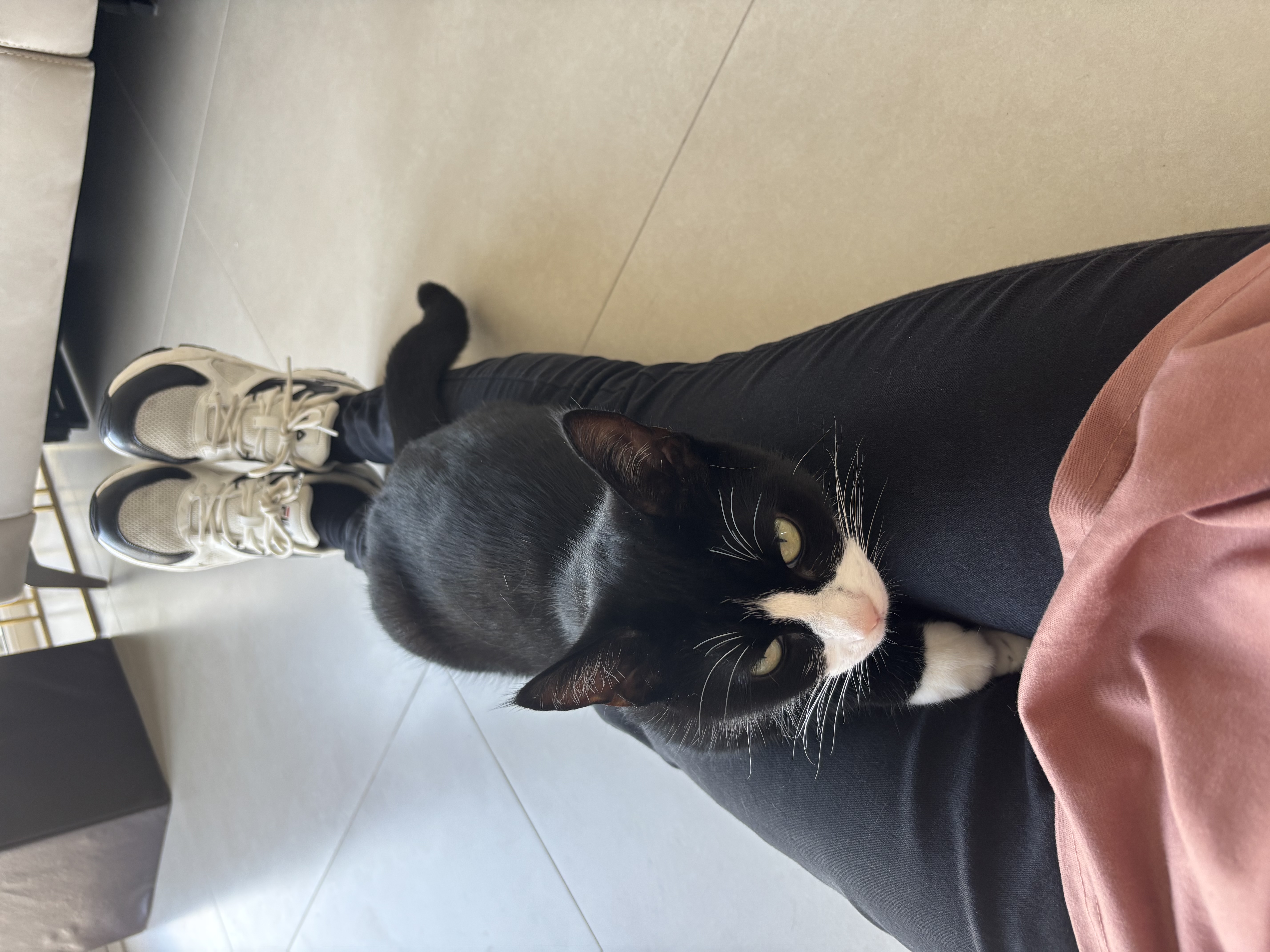 image-10