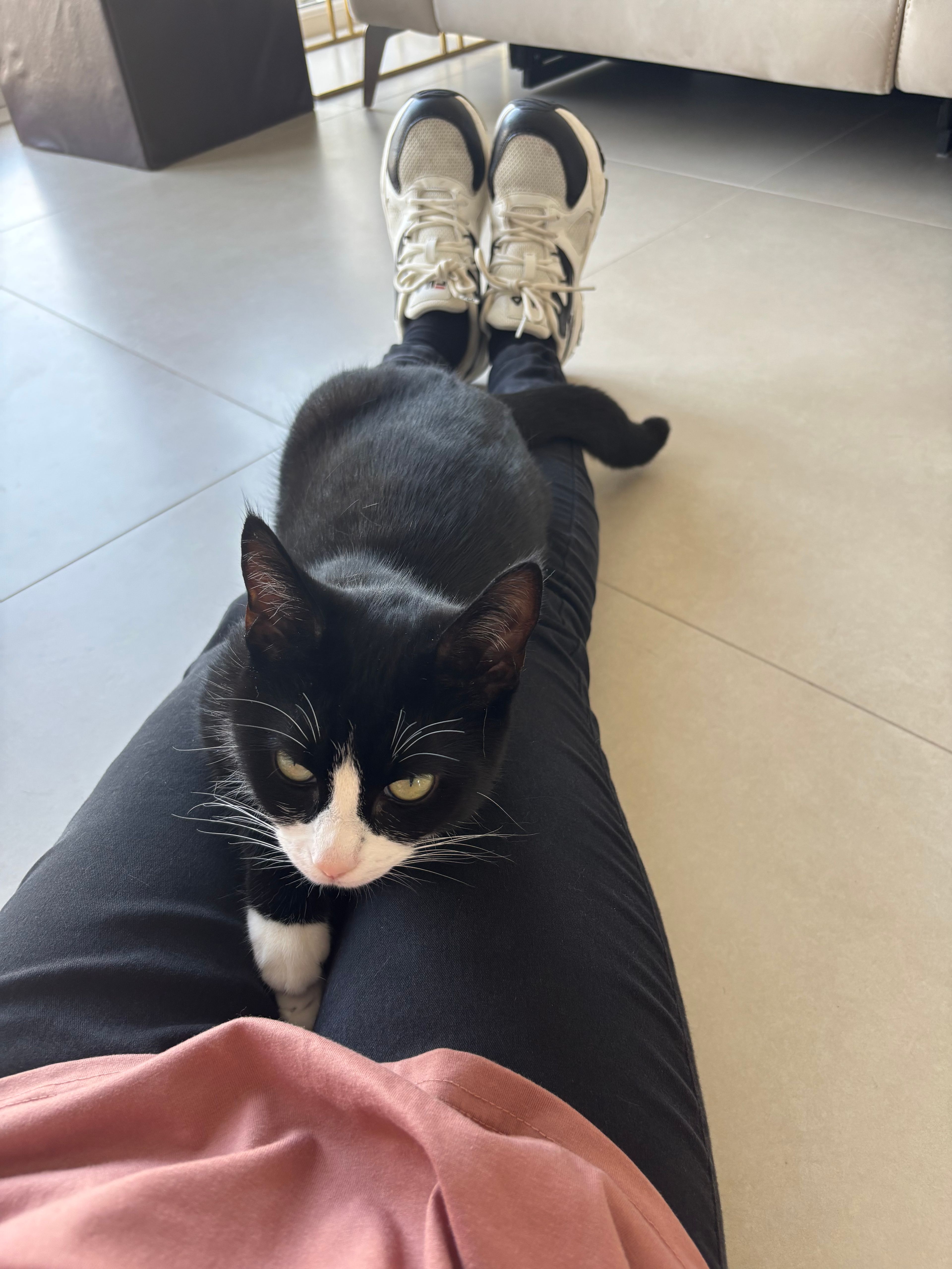 image-10