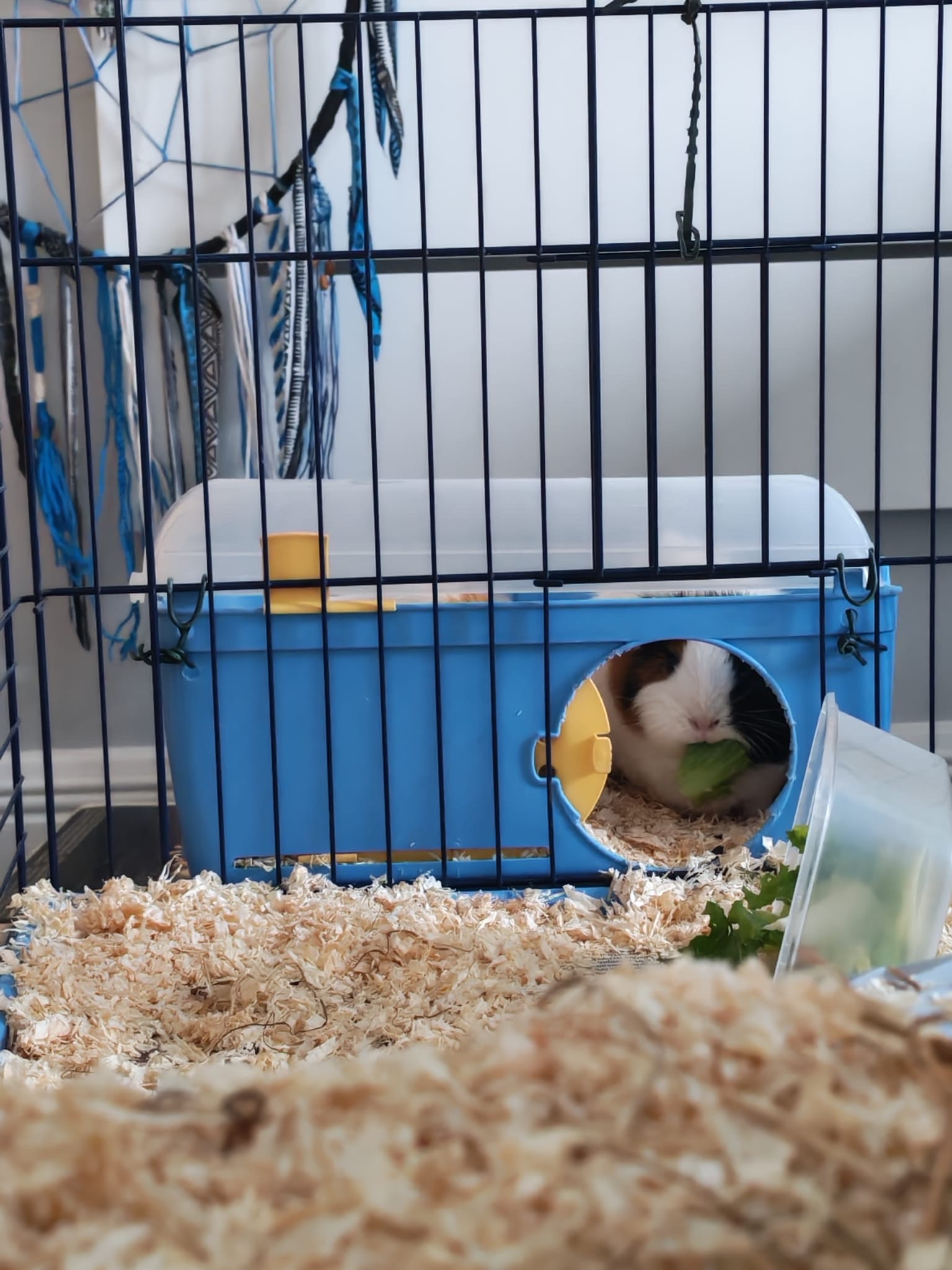 image-14