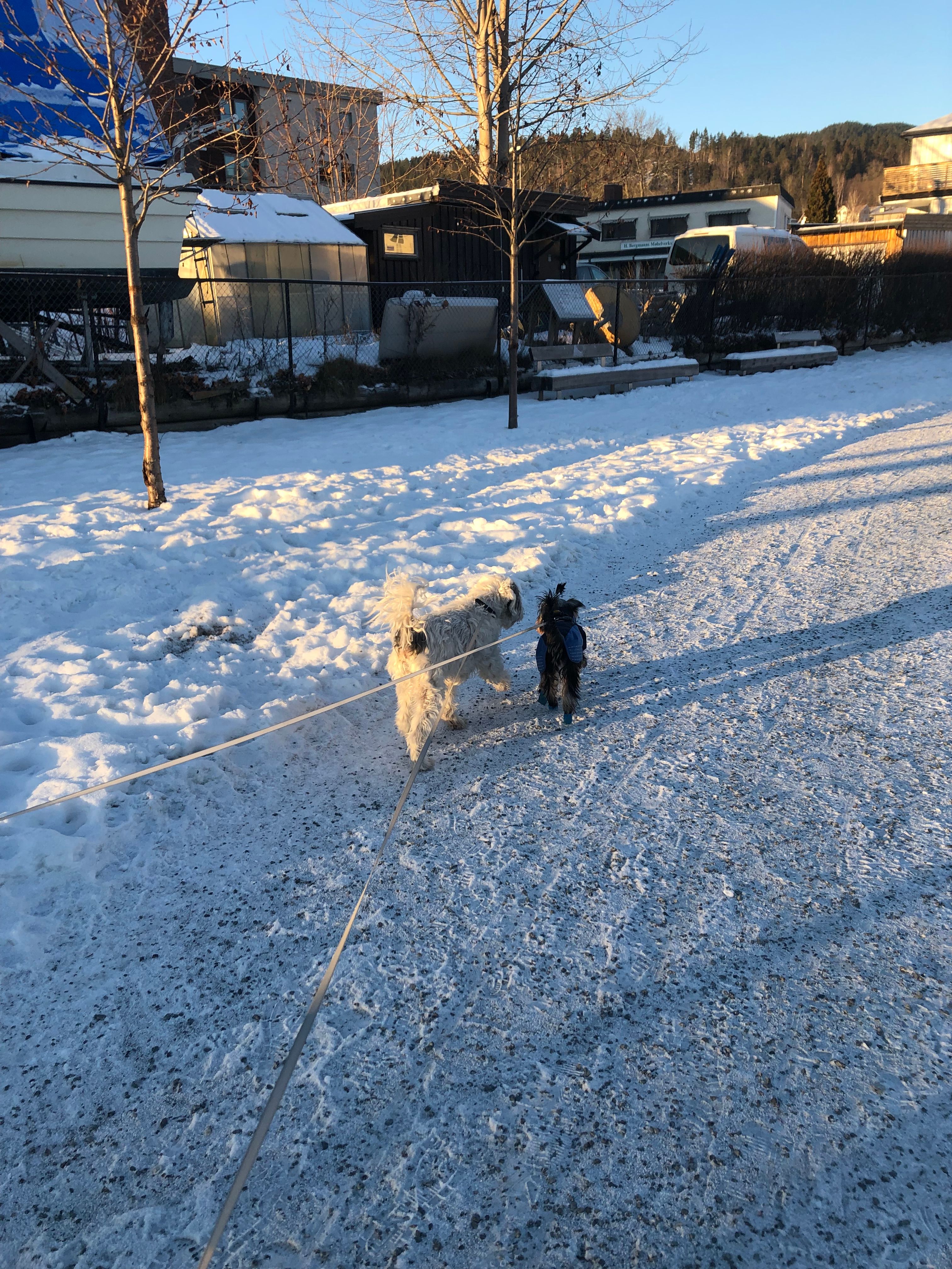 image-6