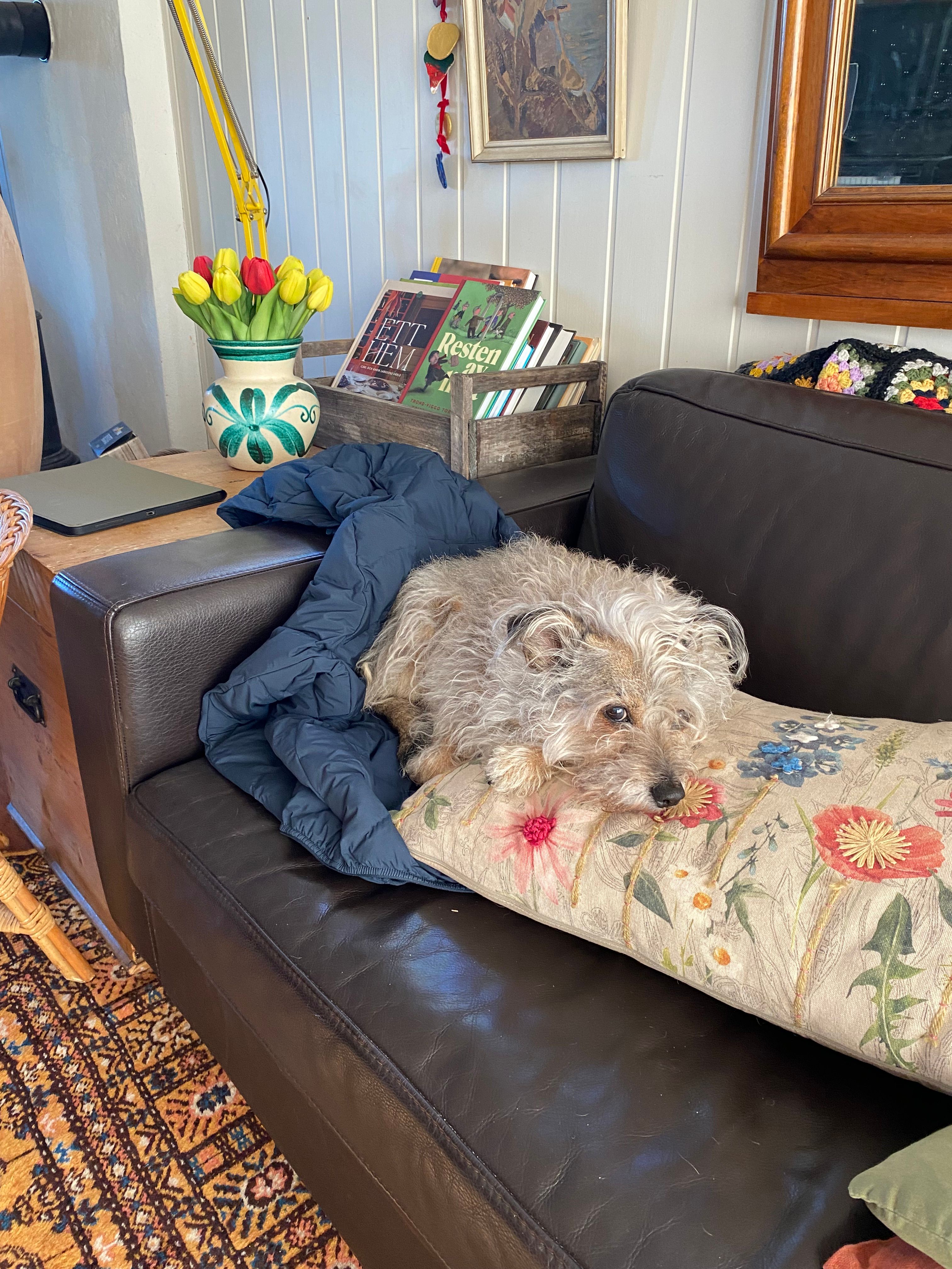 image-8