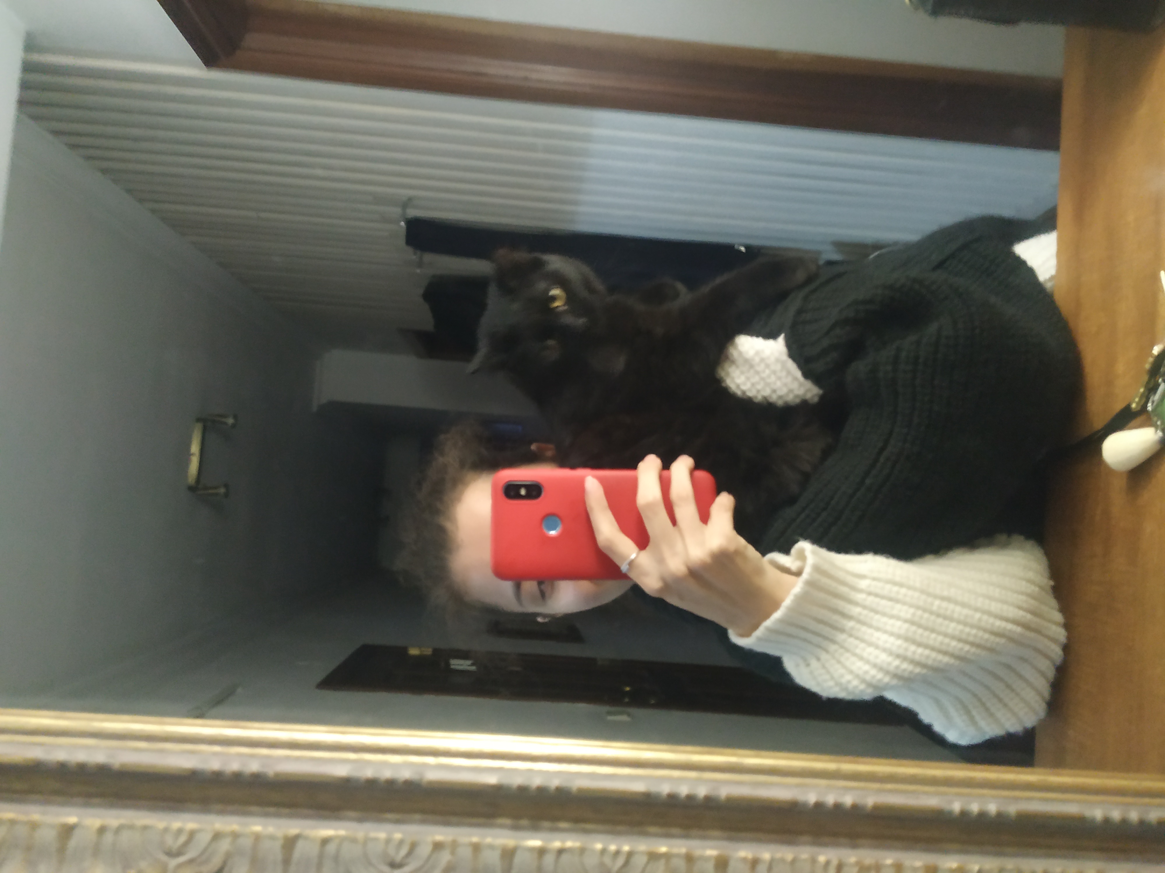 image-14