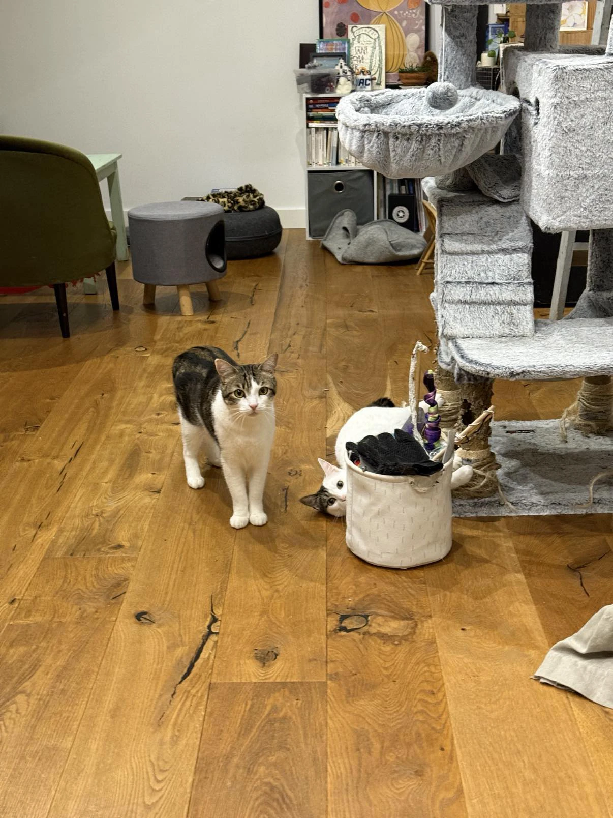 image-10