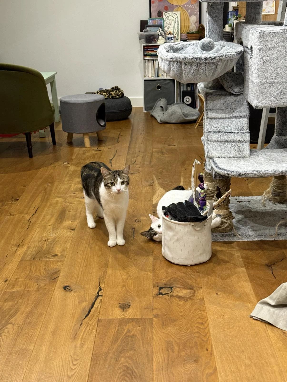 image-10