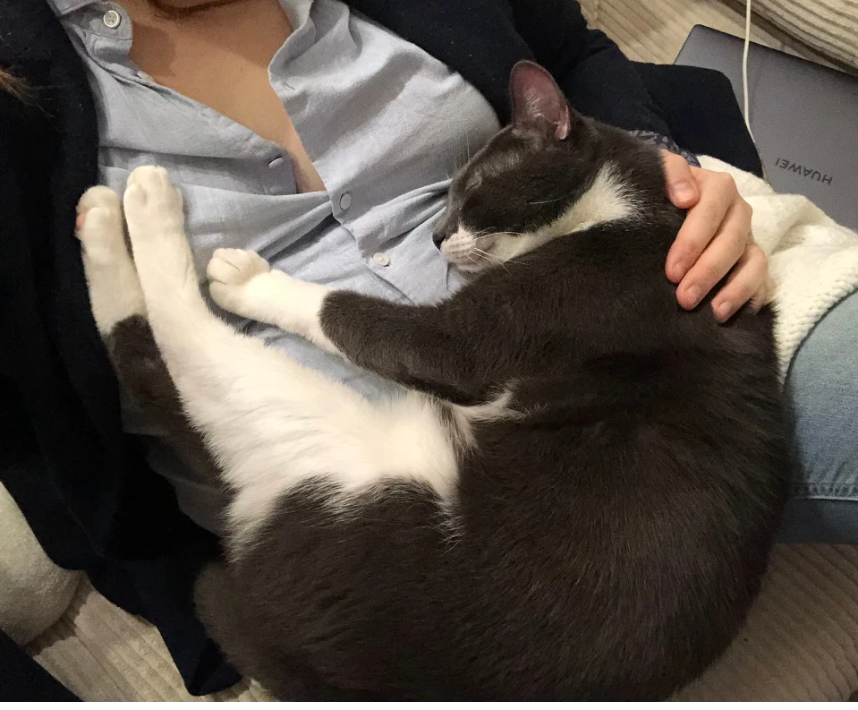 image-6