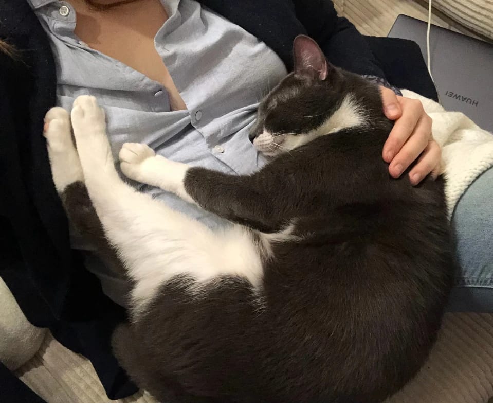 image-6