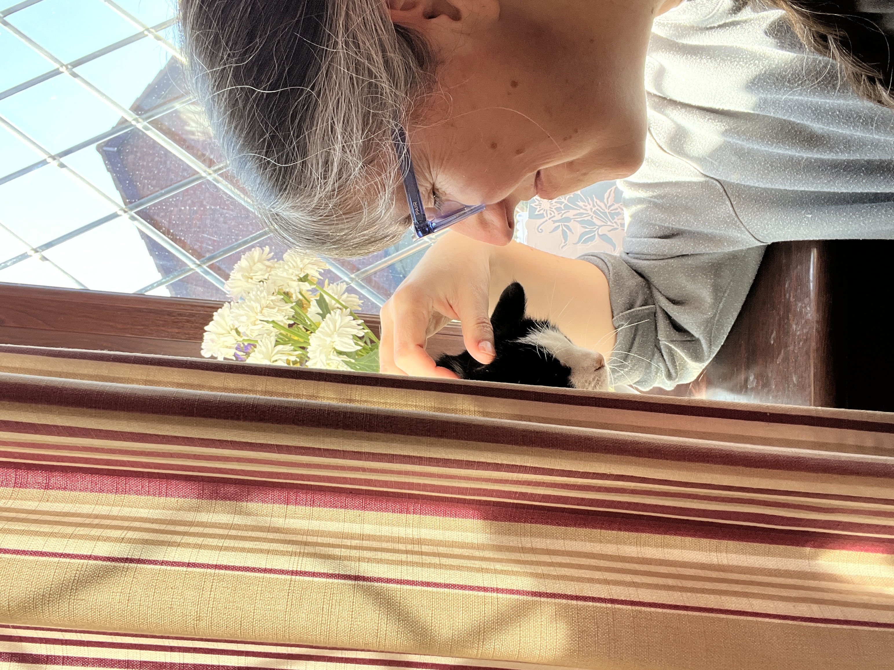 image-15