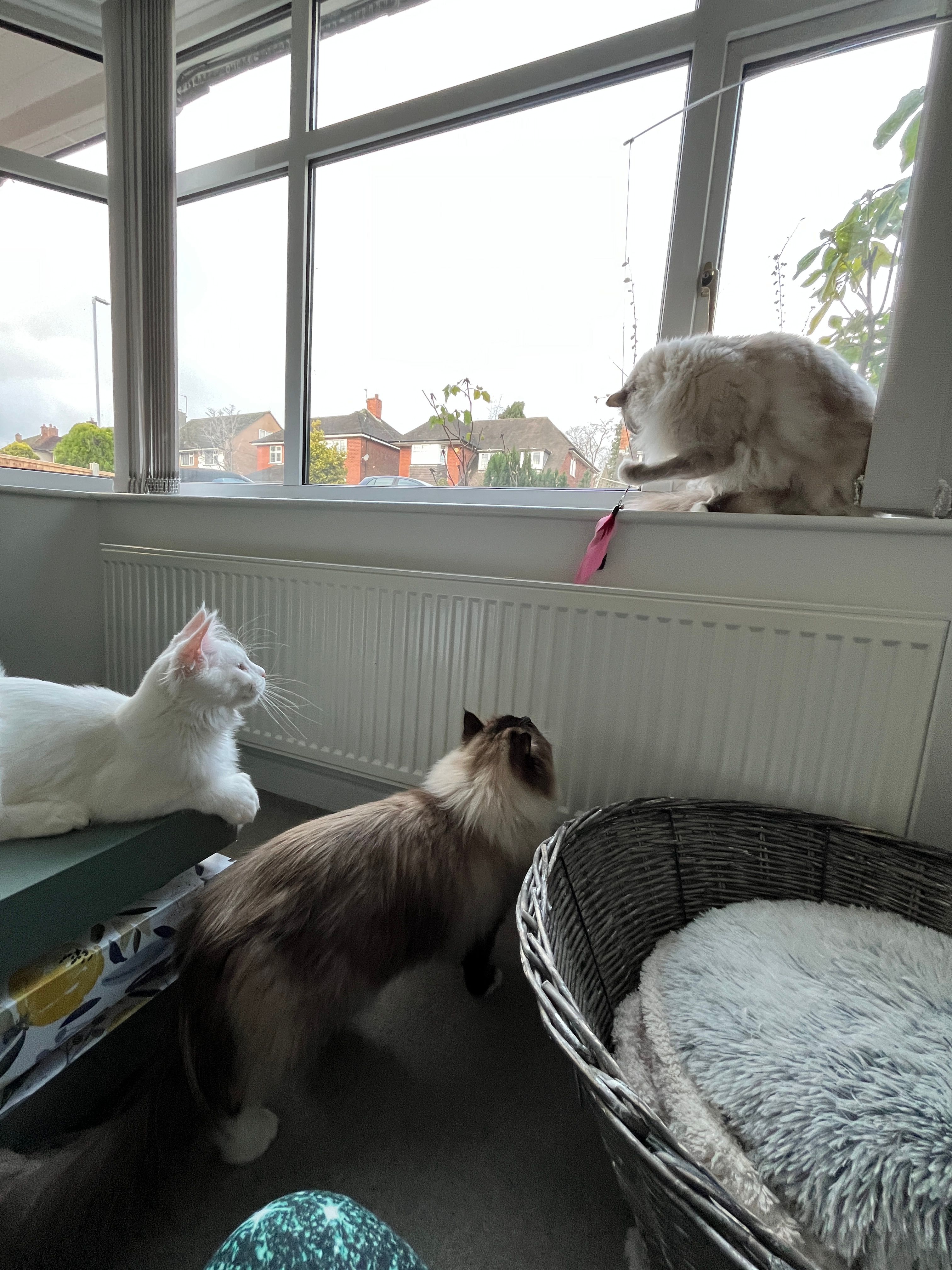 image-5