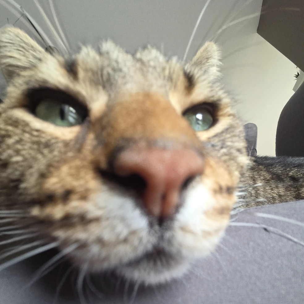 pixel