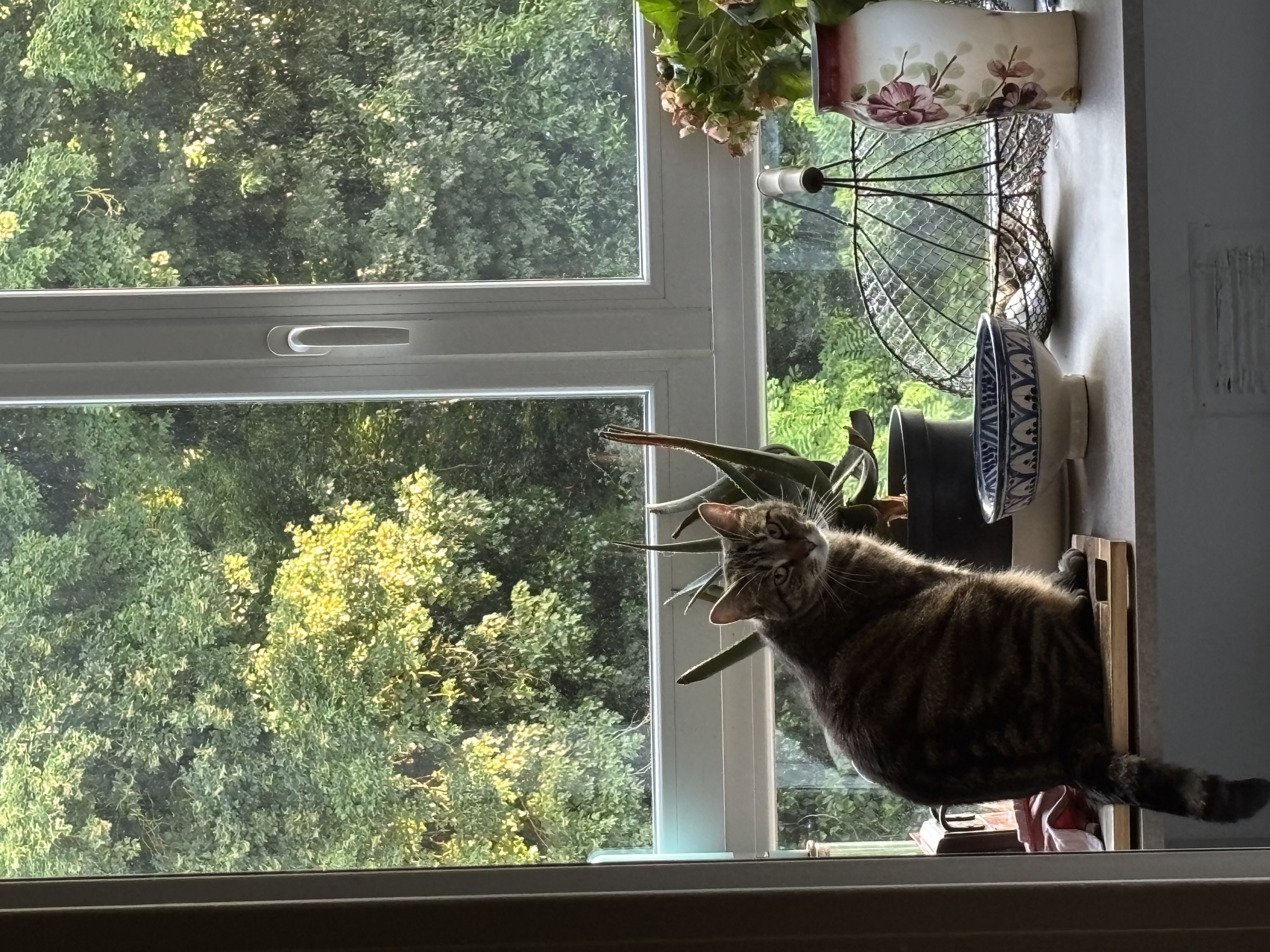 image-6