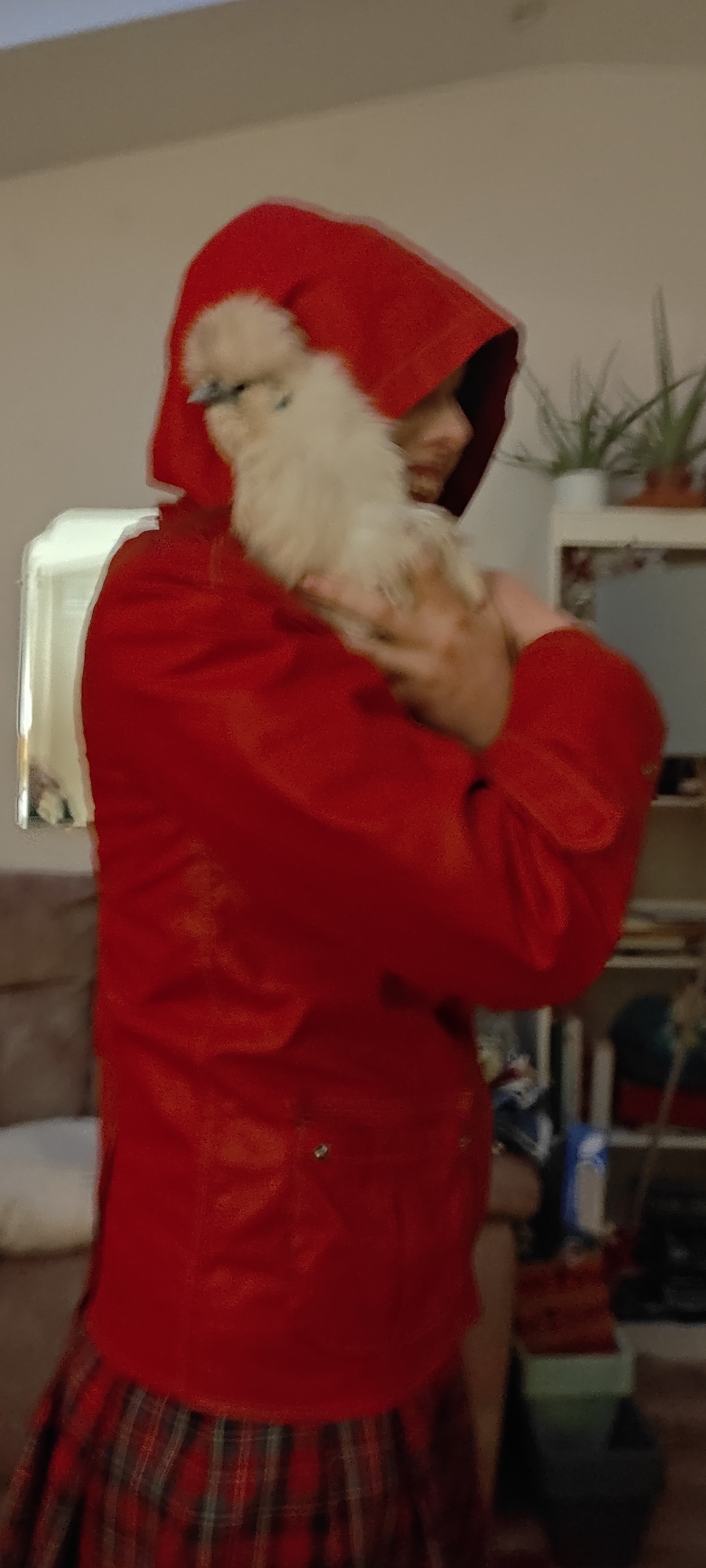 image-3