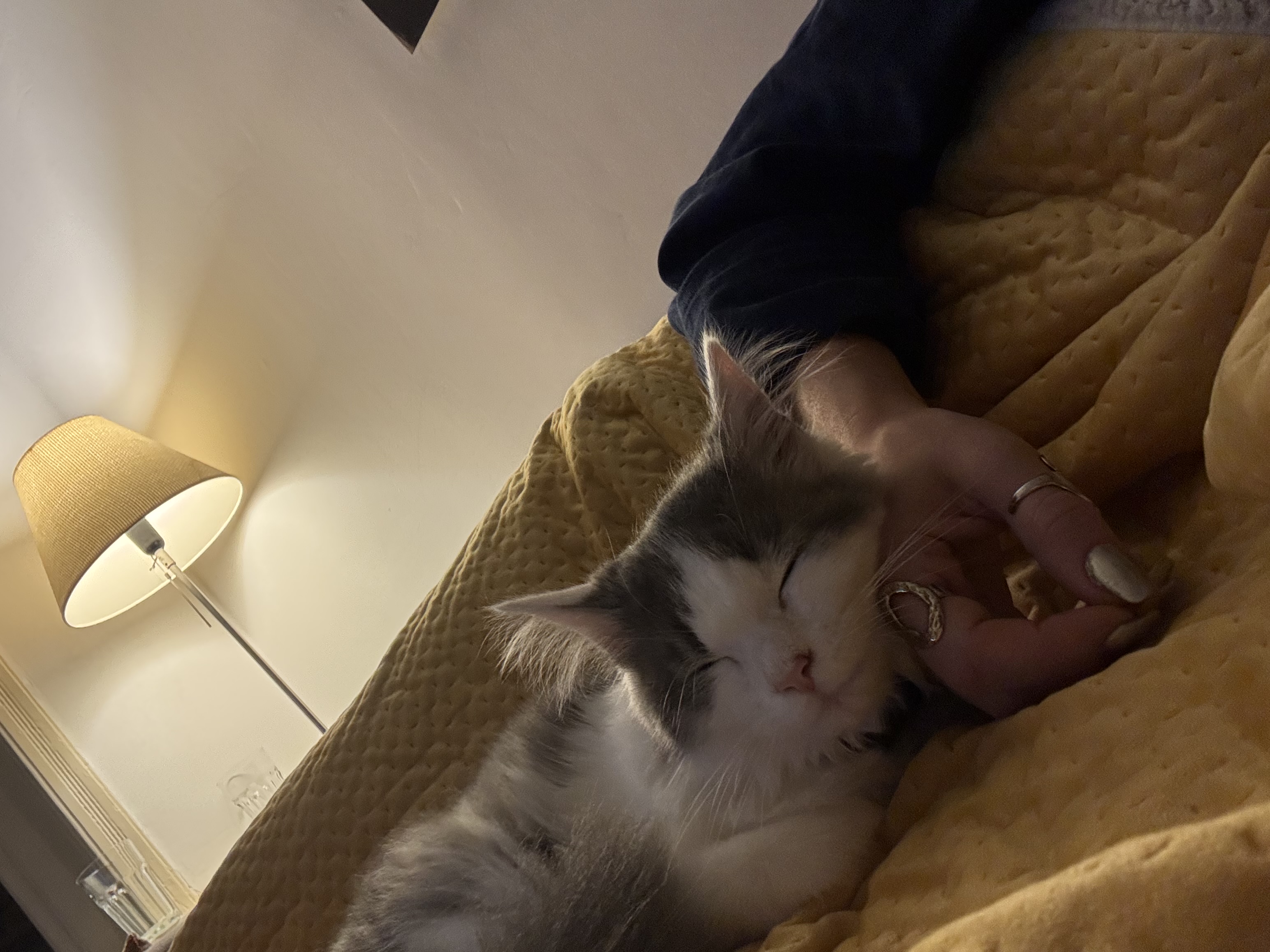 image-8