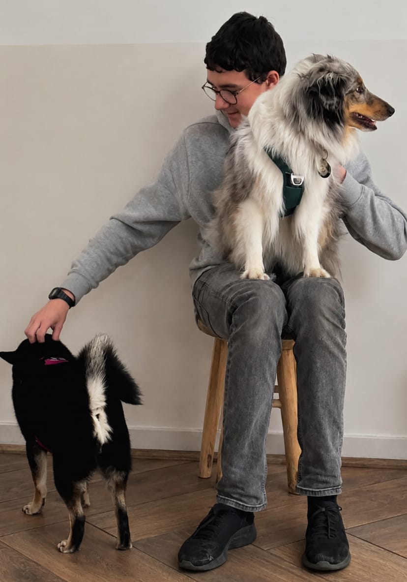 image-1