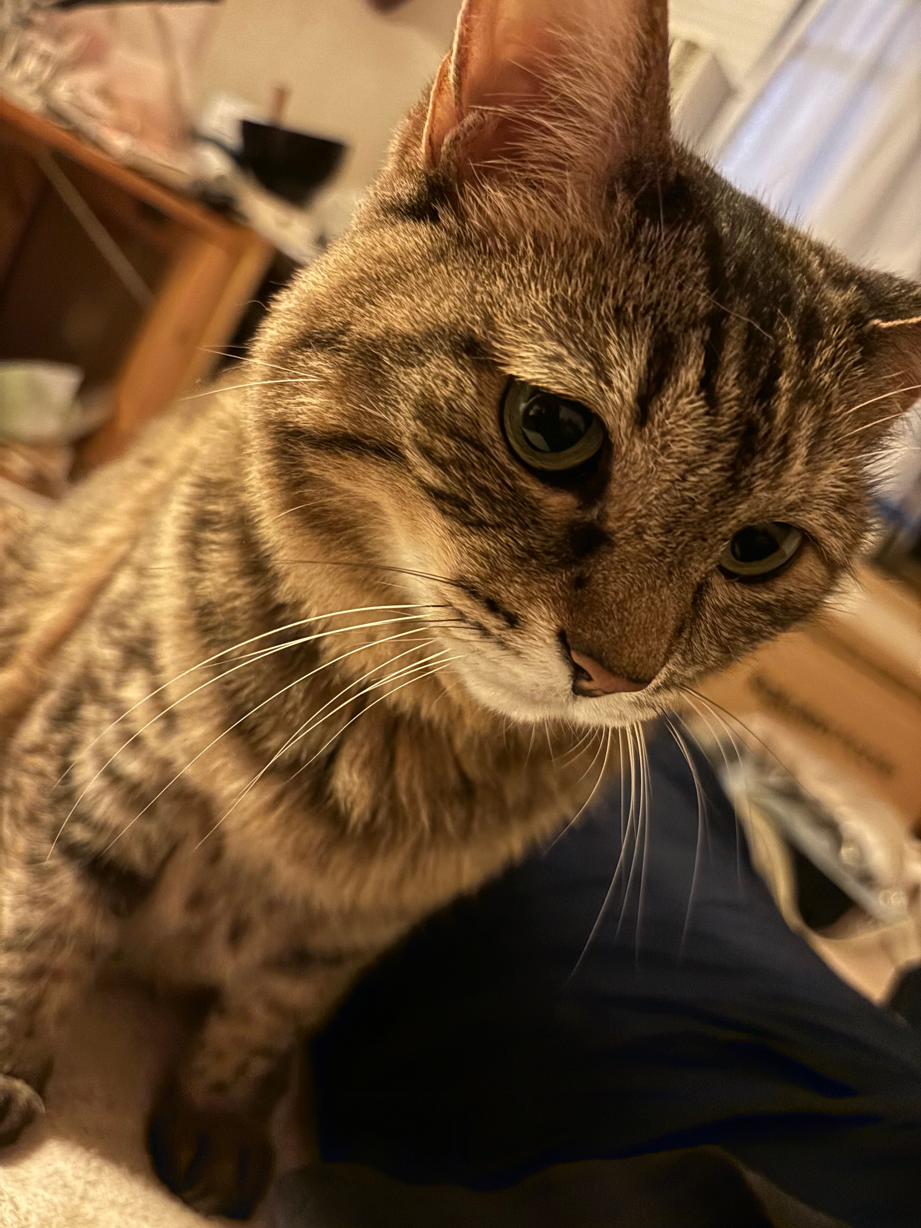 image-5