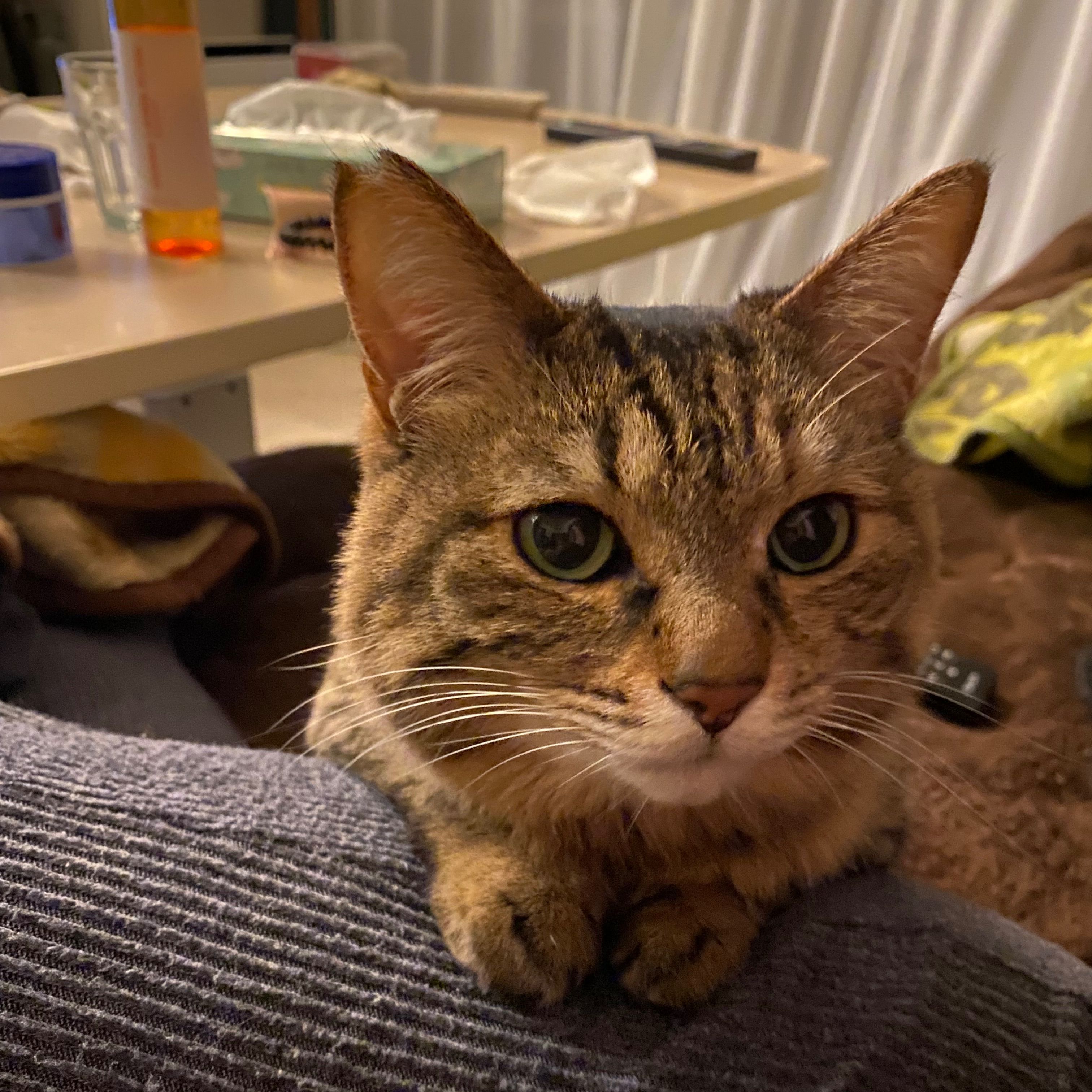 Kiko
