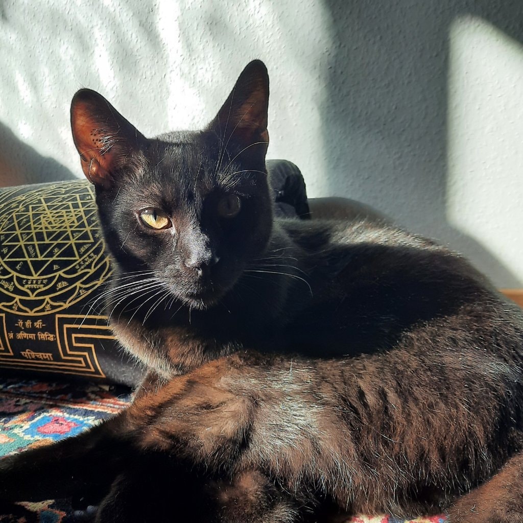 Hades
