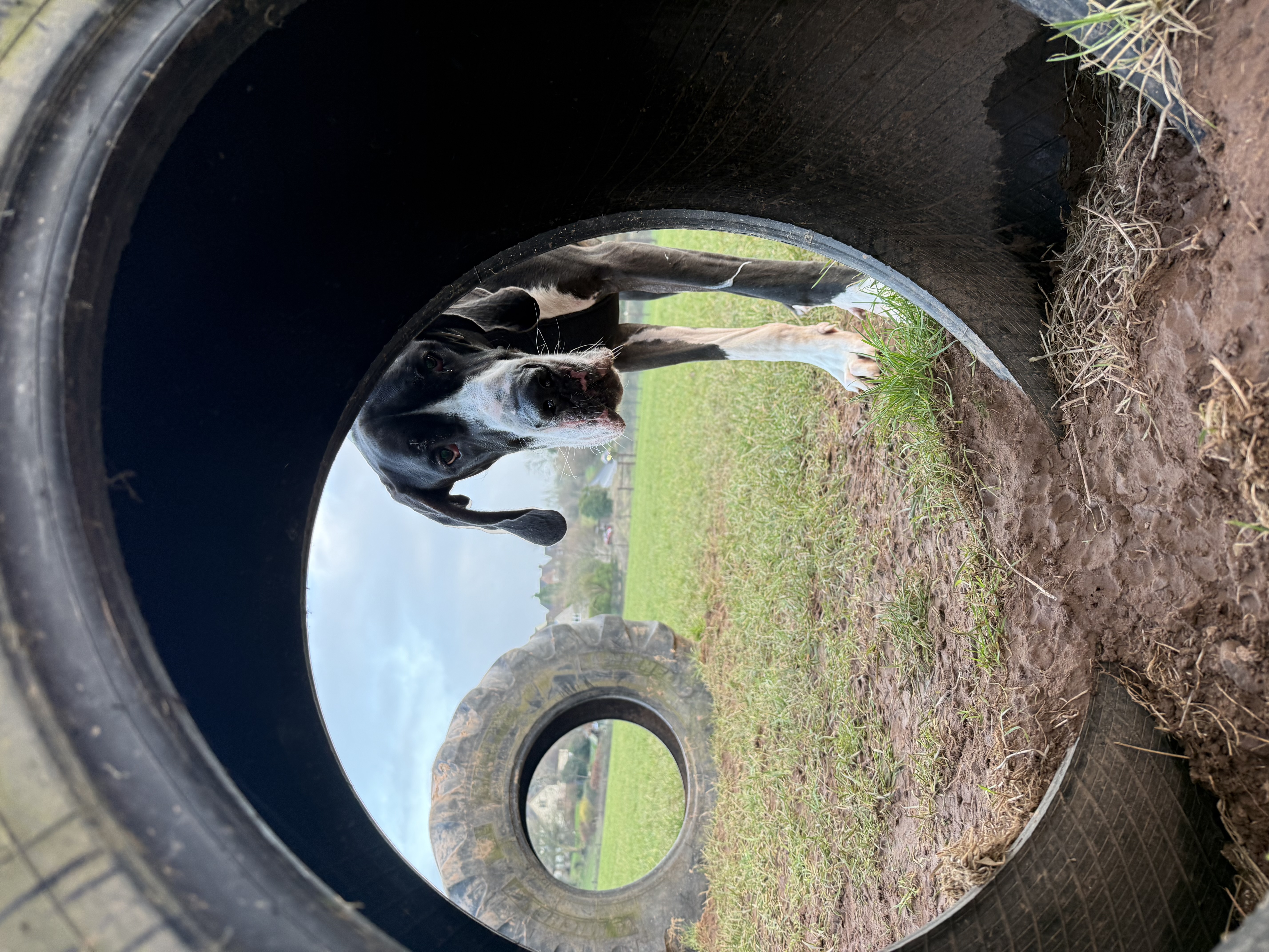 image-6