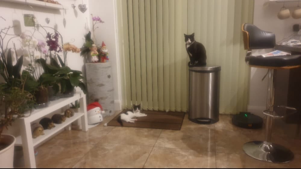image-41