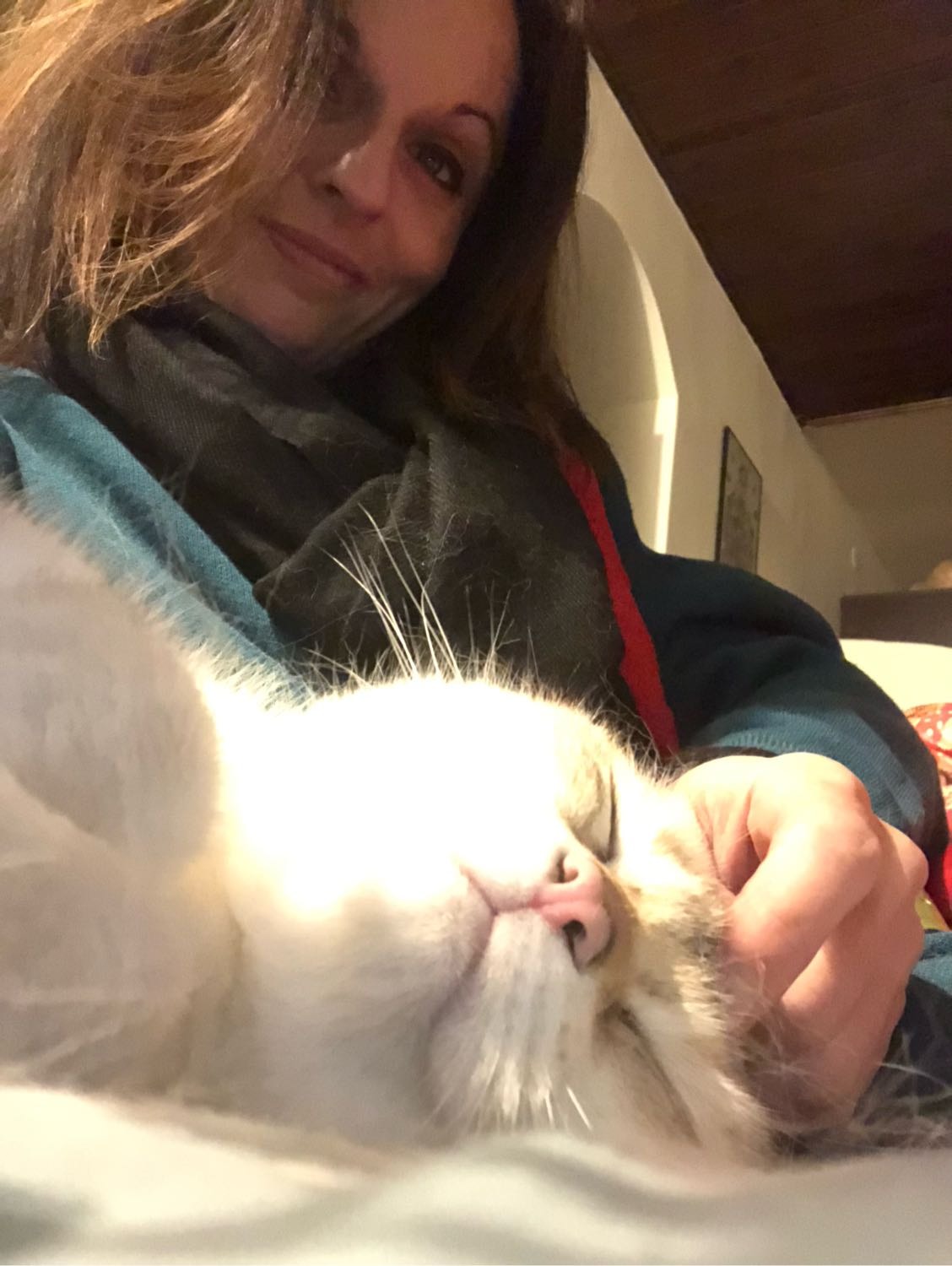 image-2
