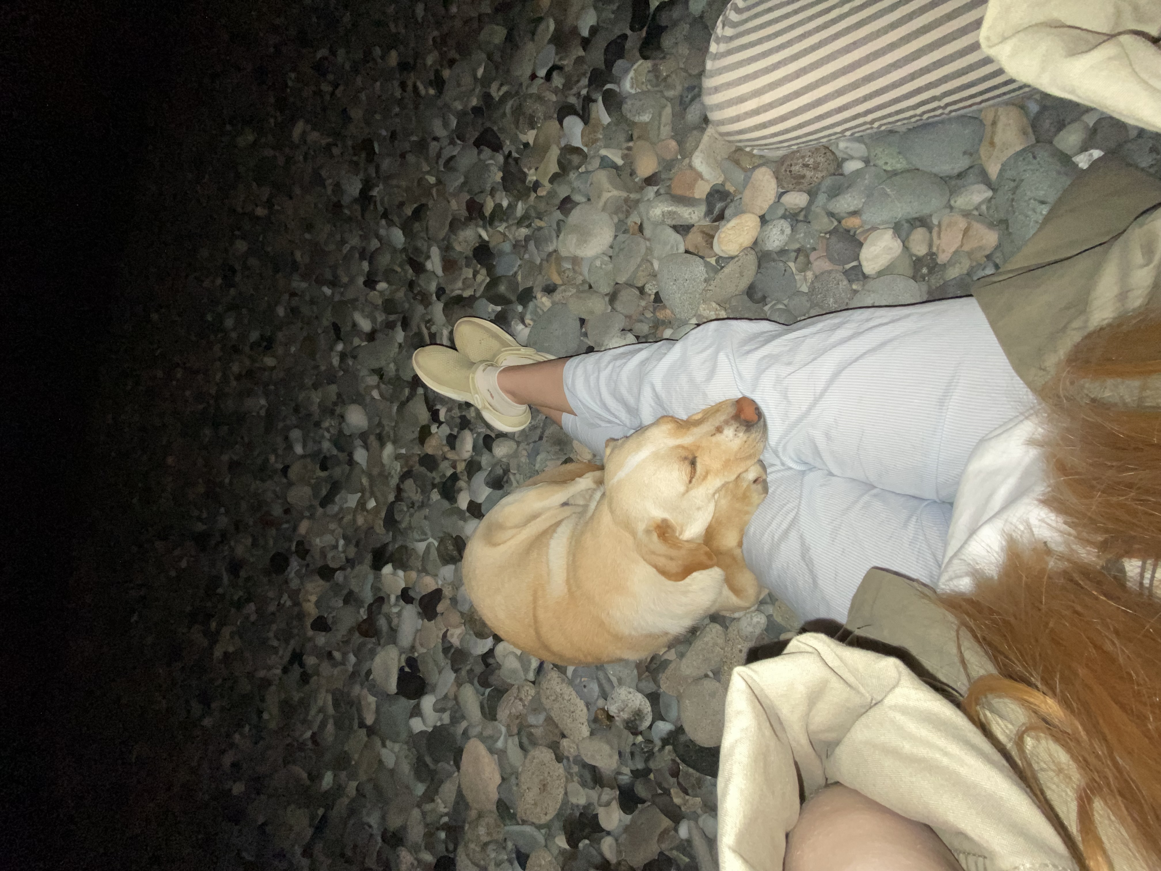 image-8