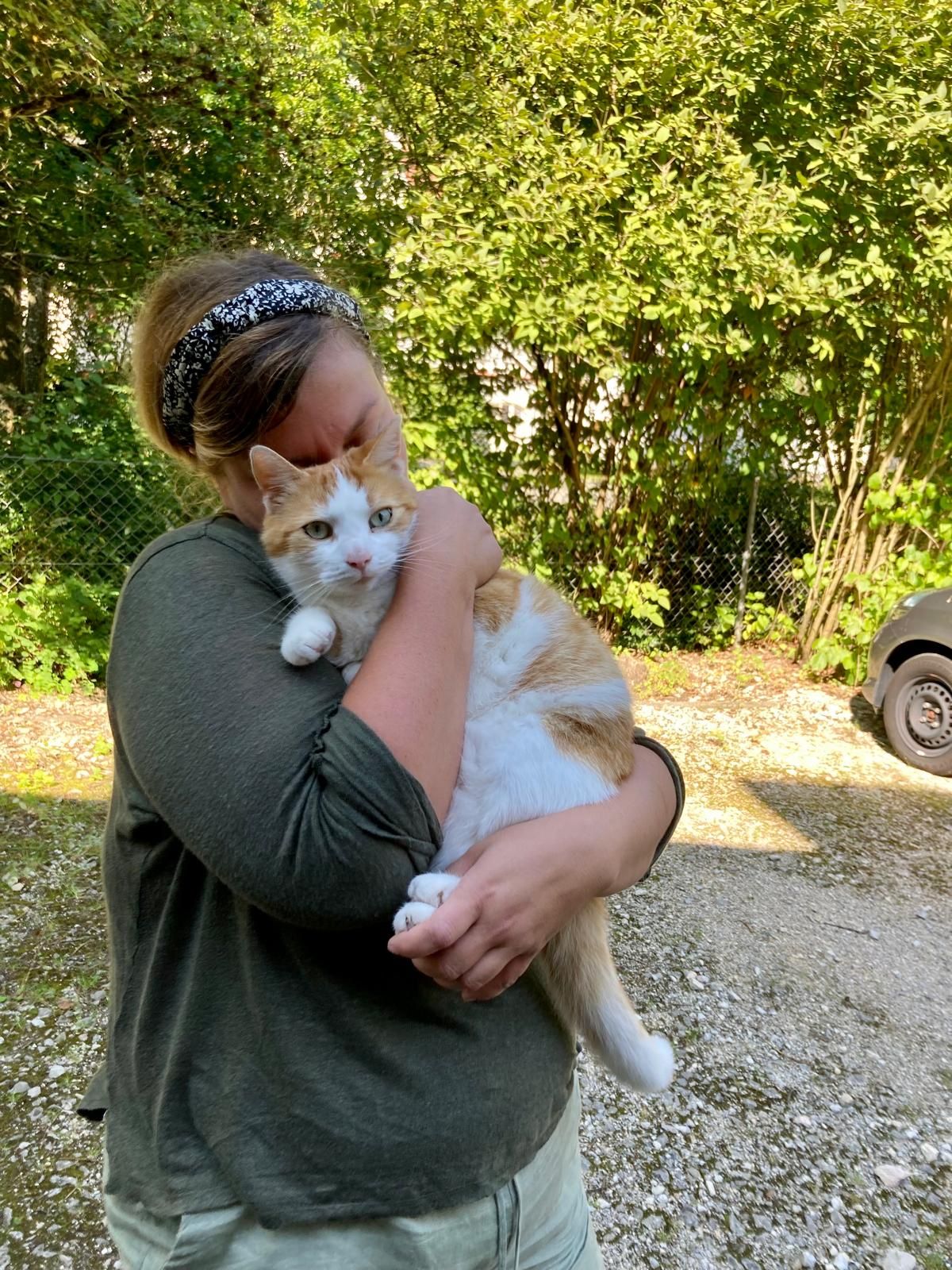 image-0