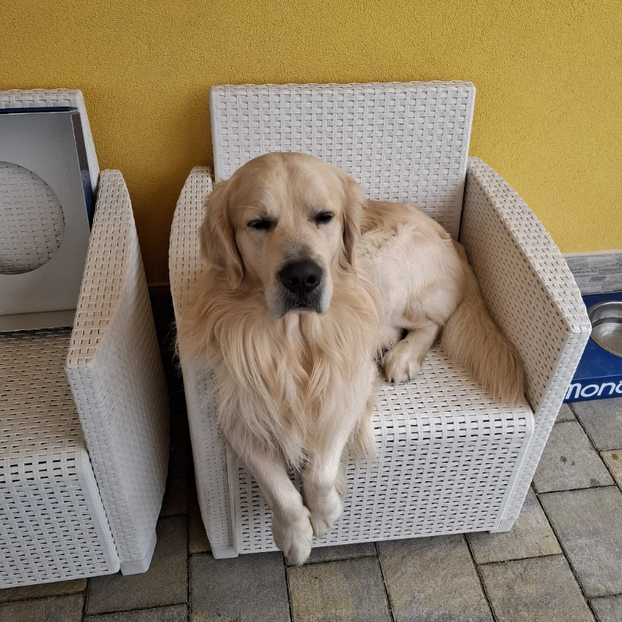 charlie