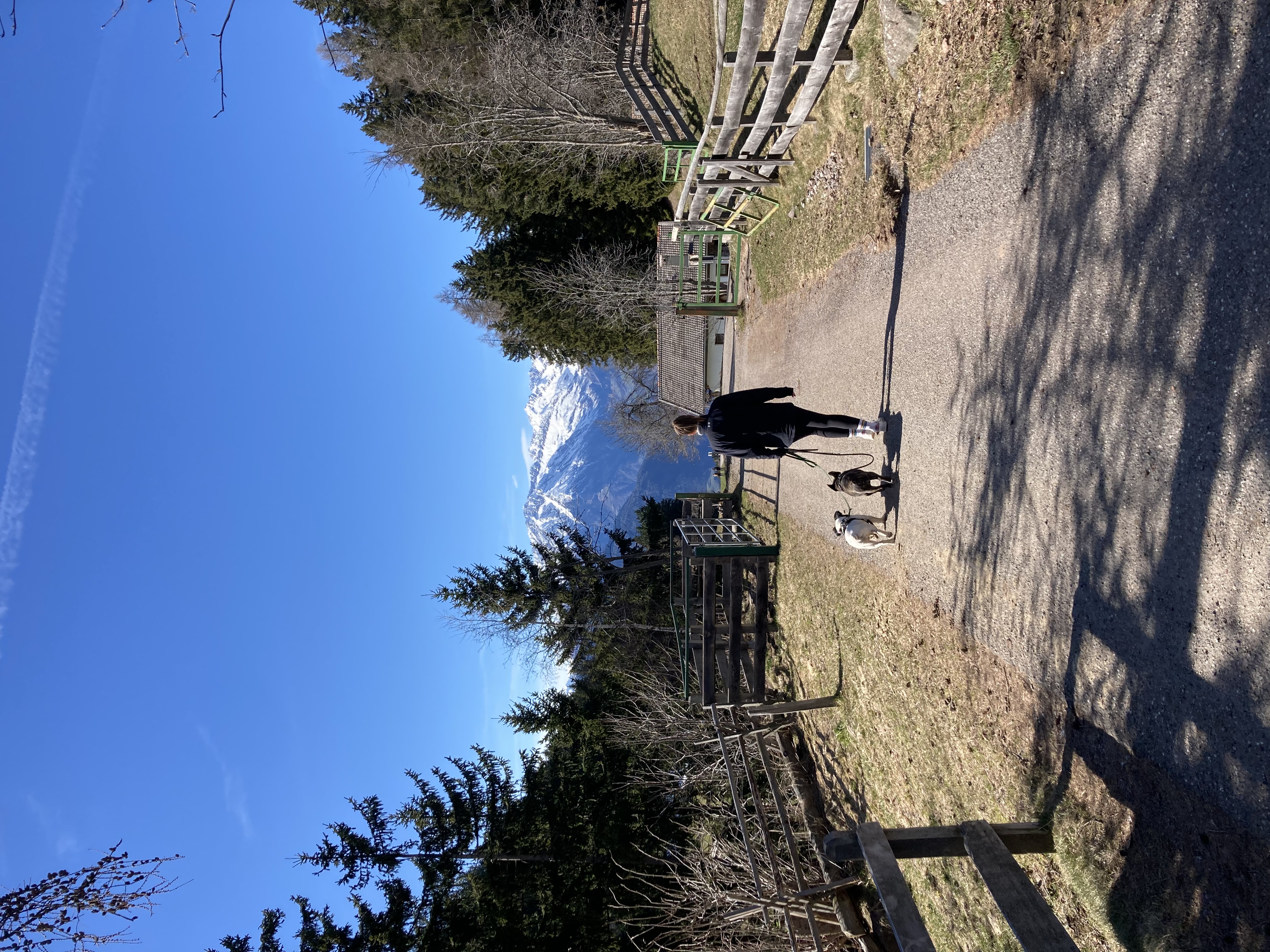 image-14