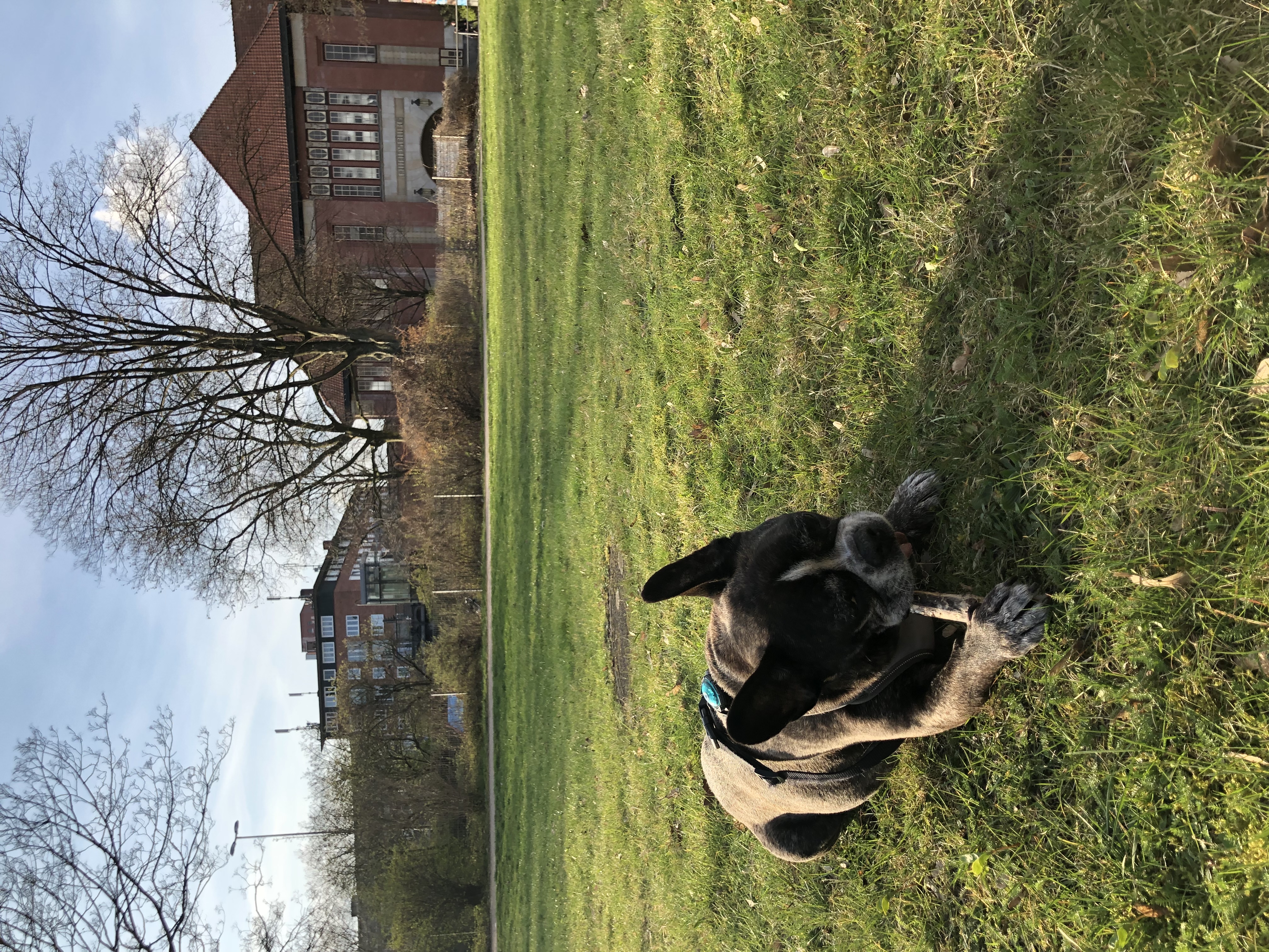 image-19
