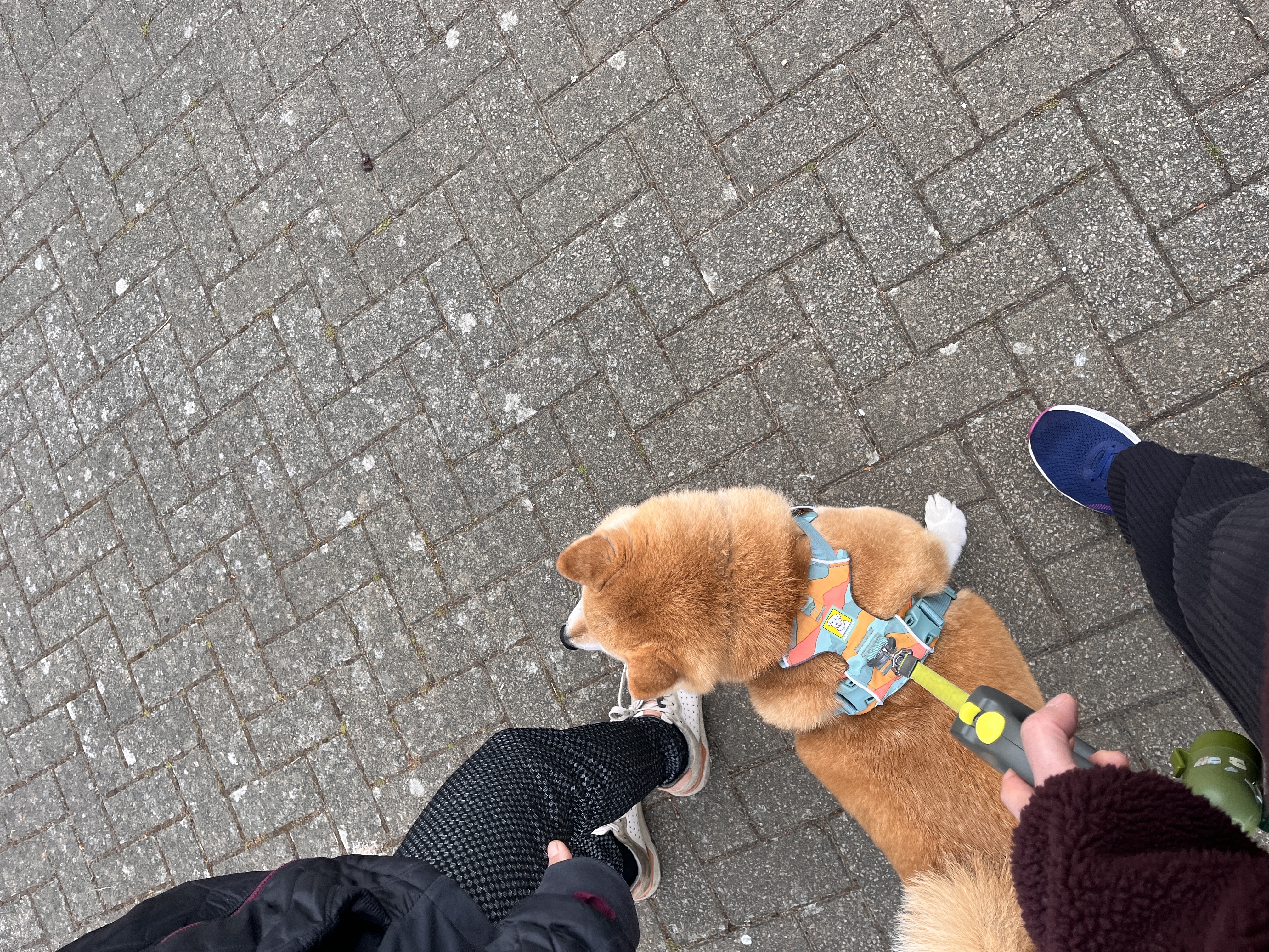 image-15
