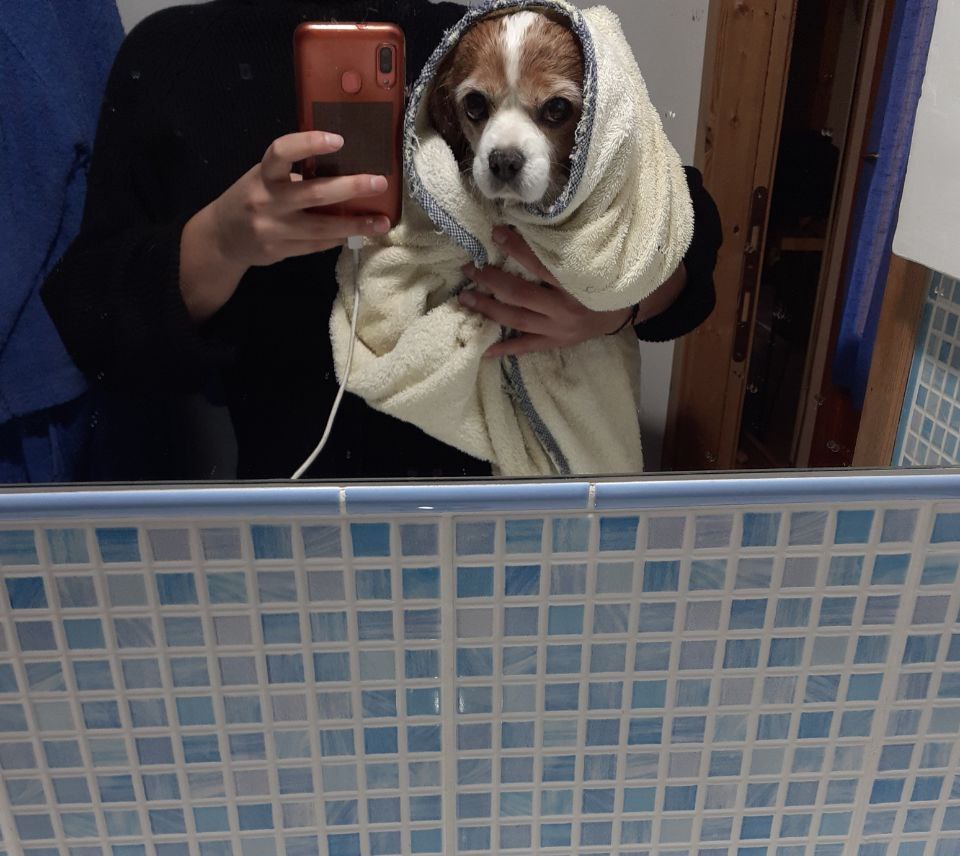 image-12