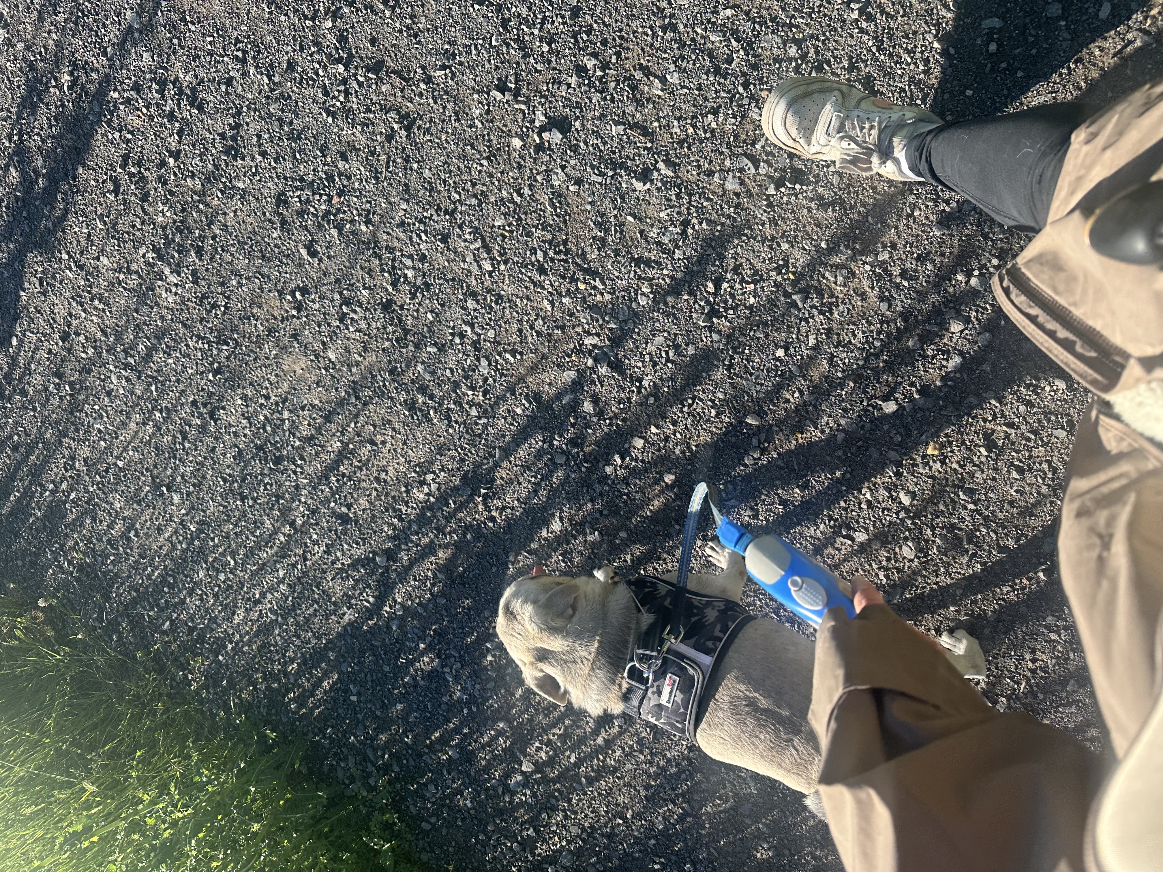 image-8