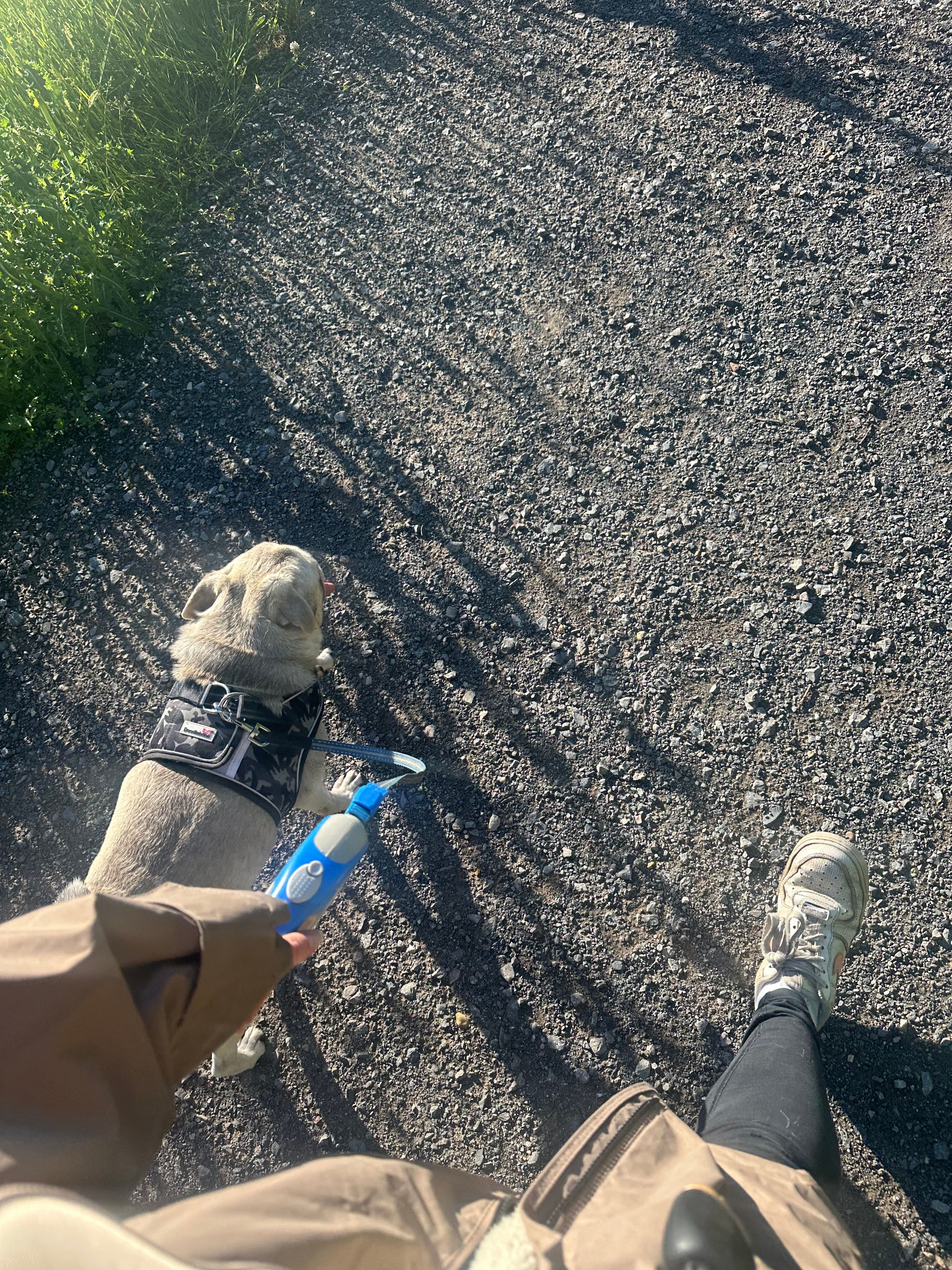 image-8