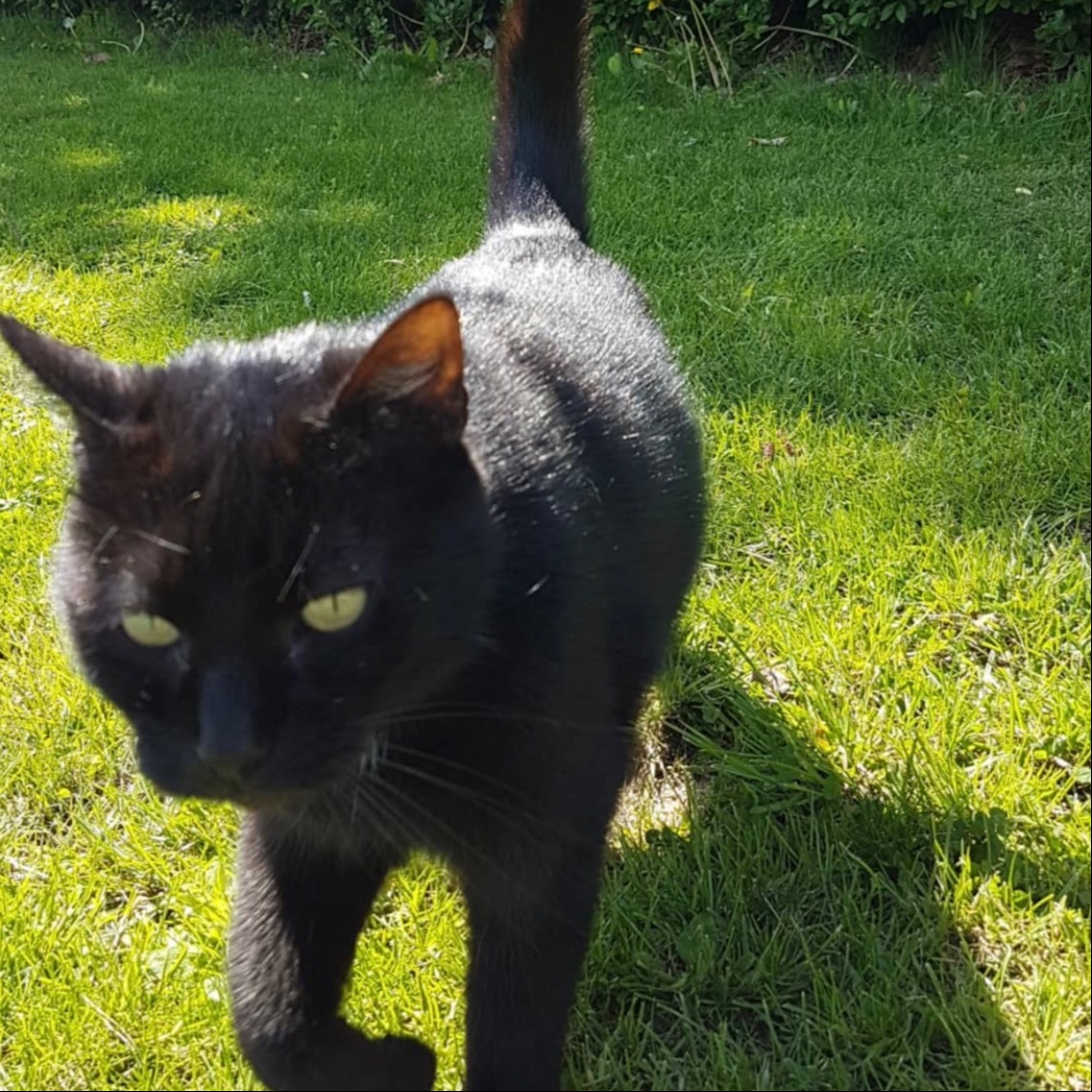 Max