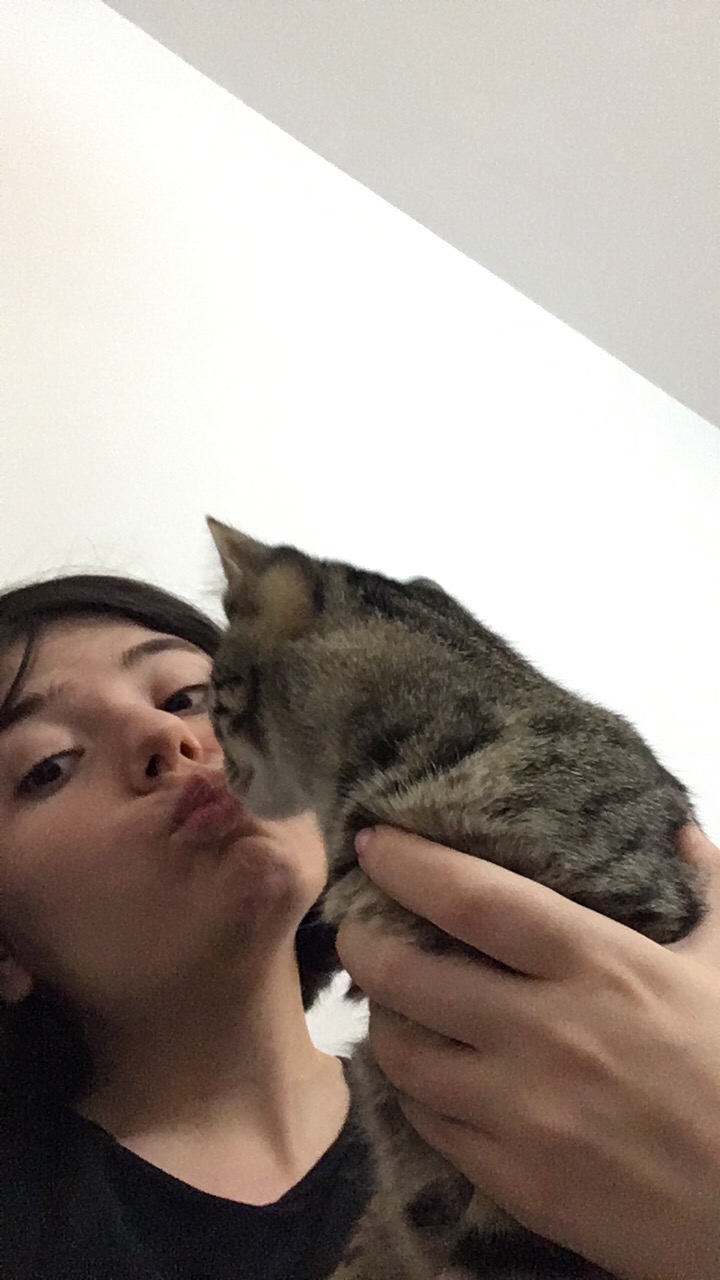 image-8