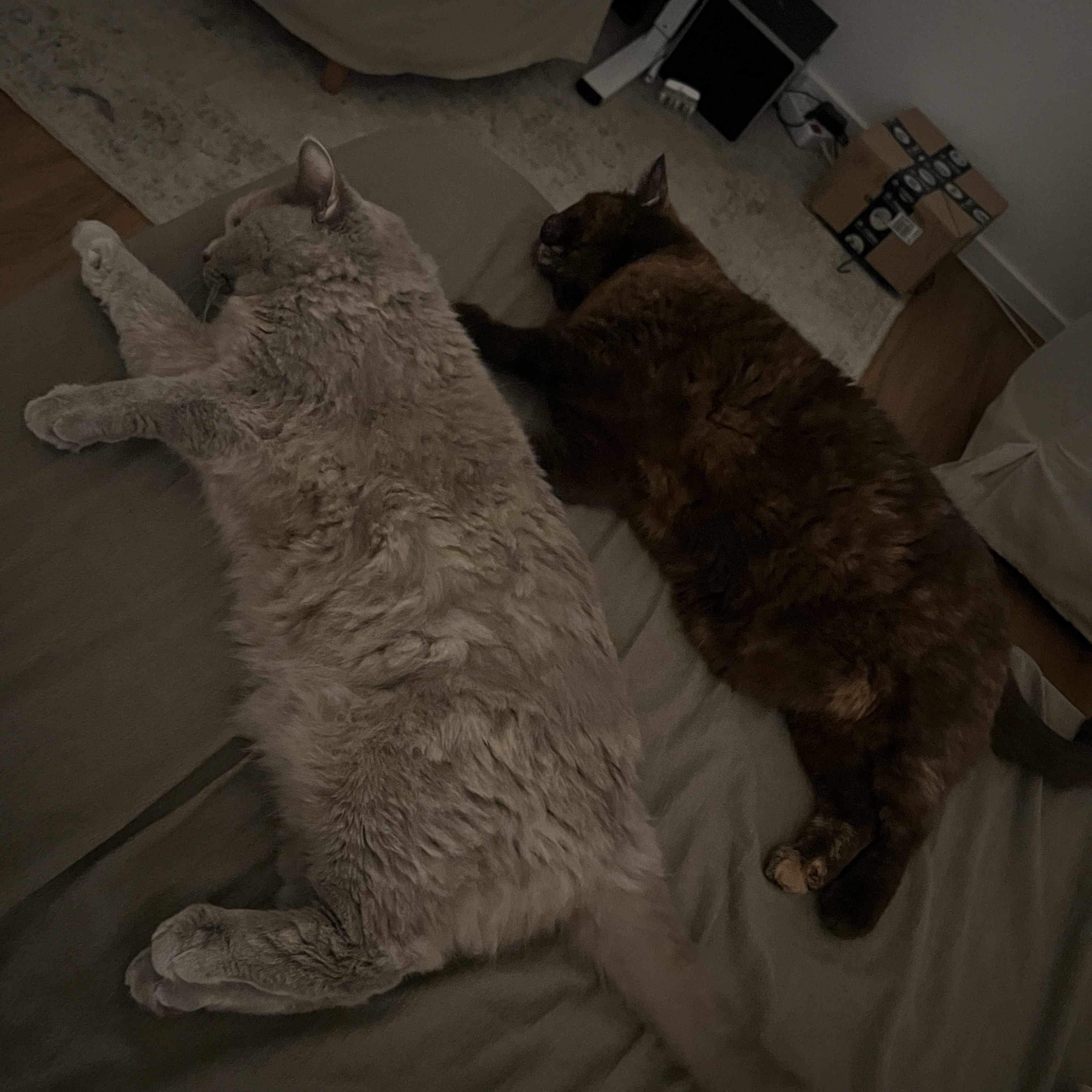image-12