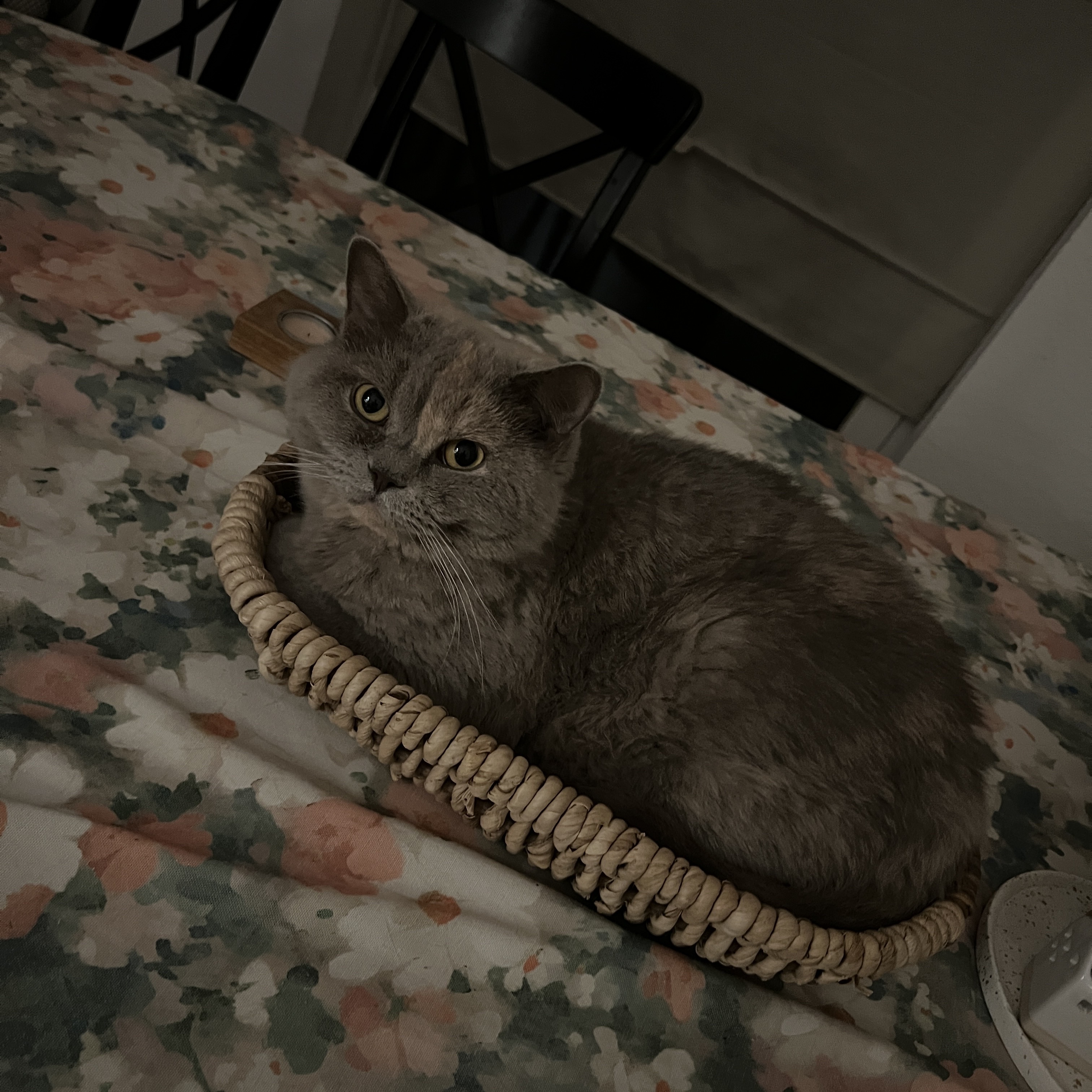 image-14