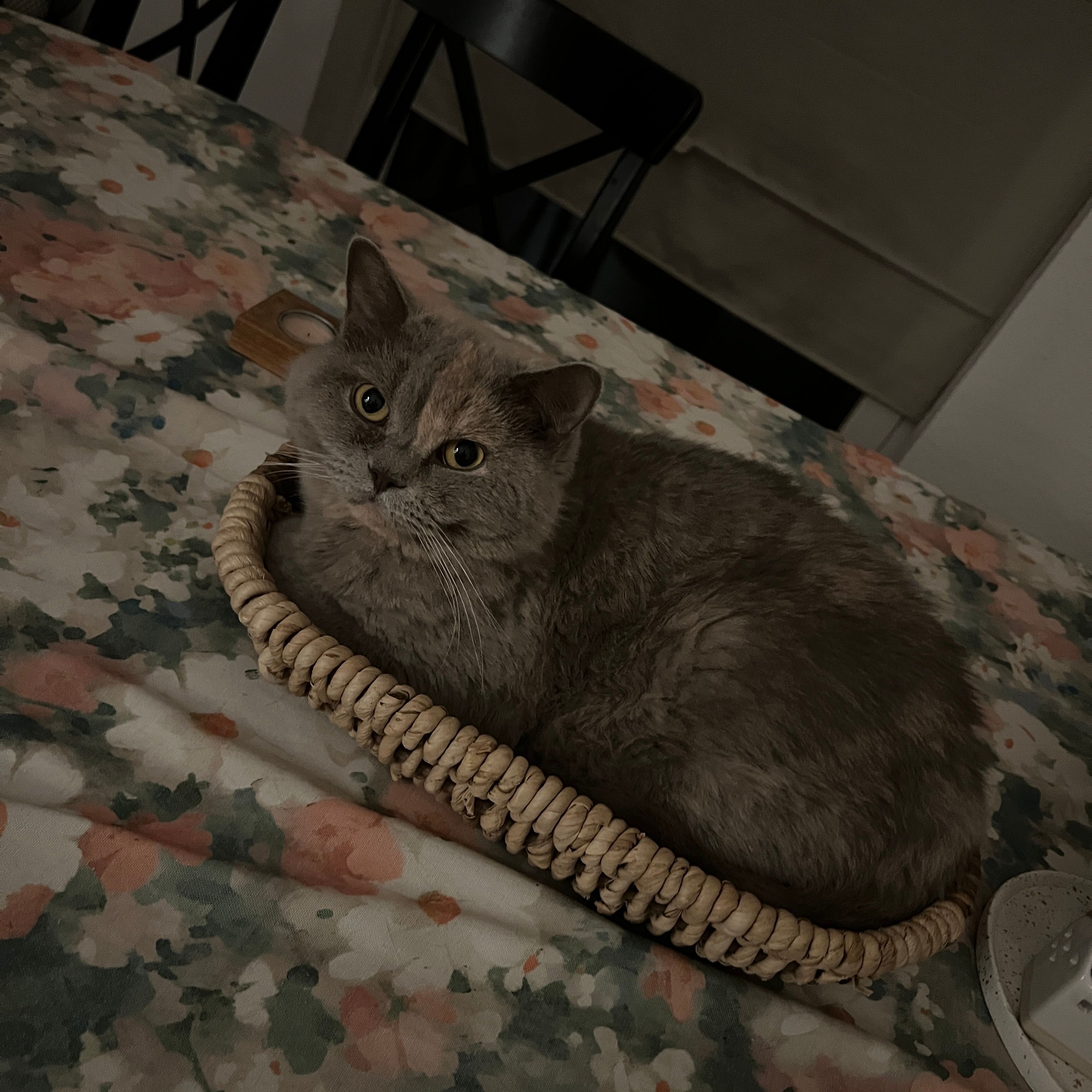 image-14
