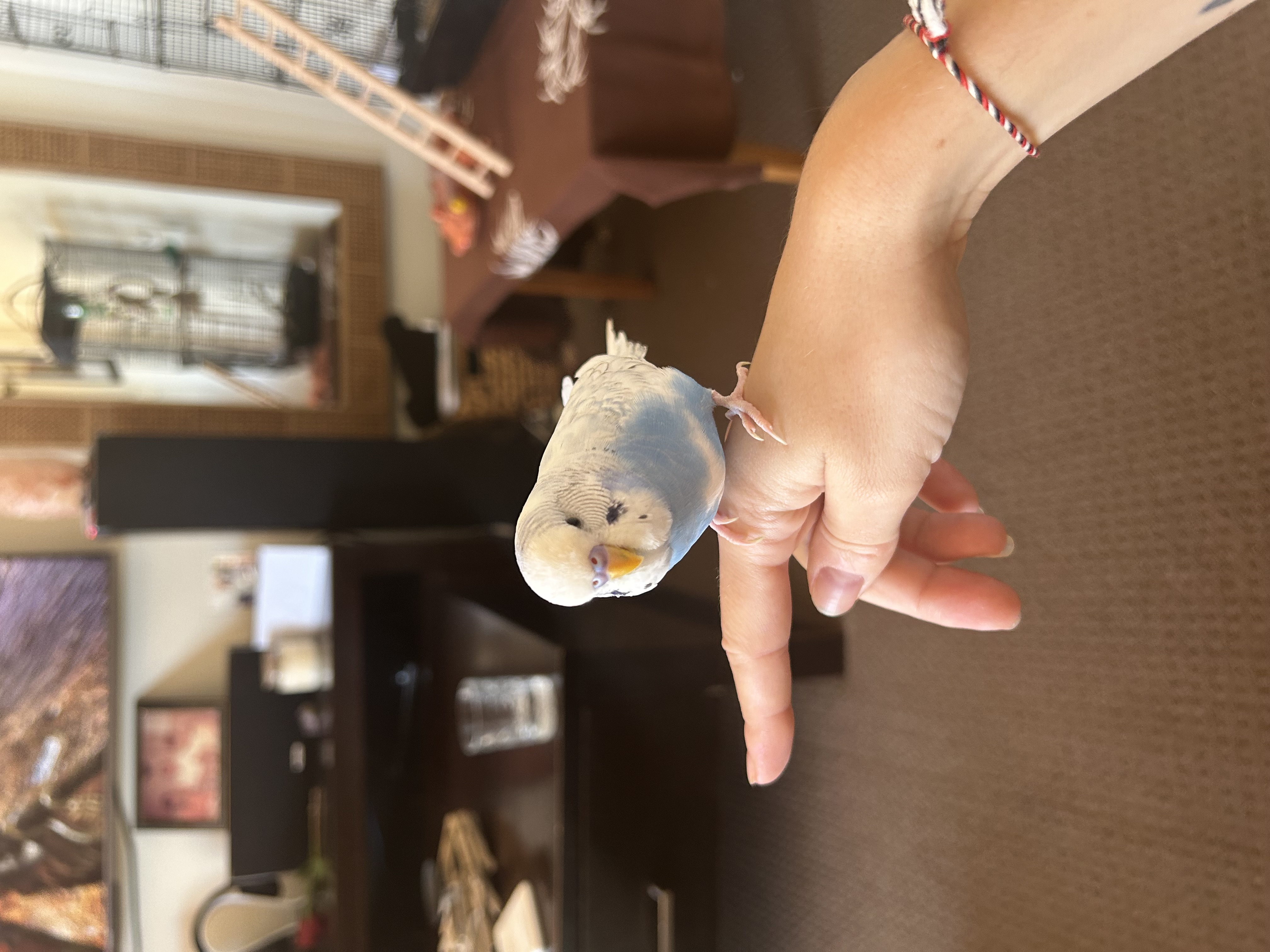 image-8