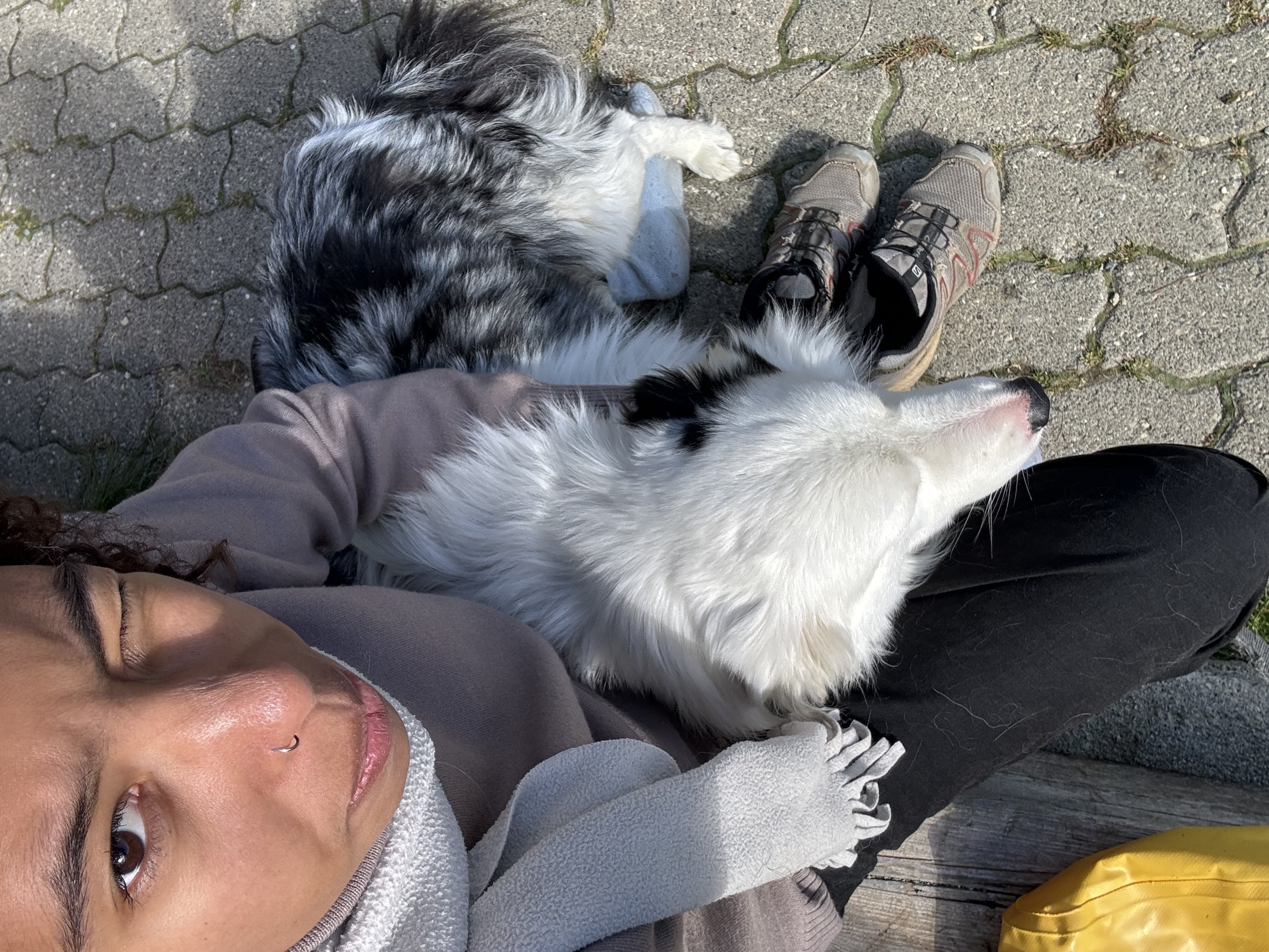image-3