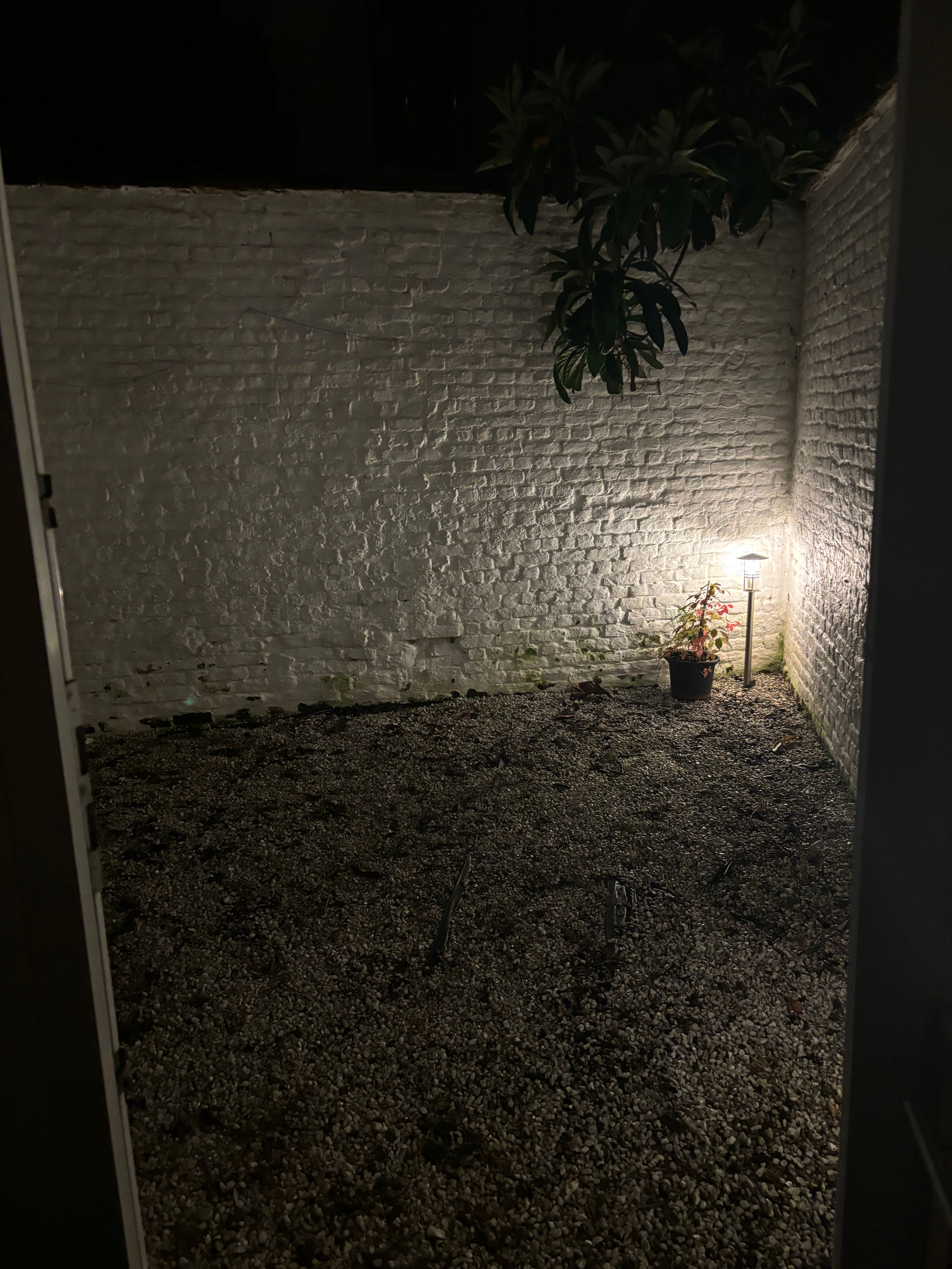 image-13