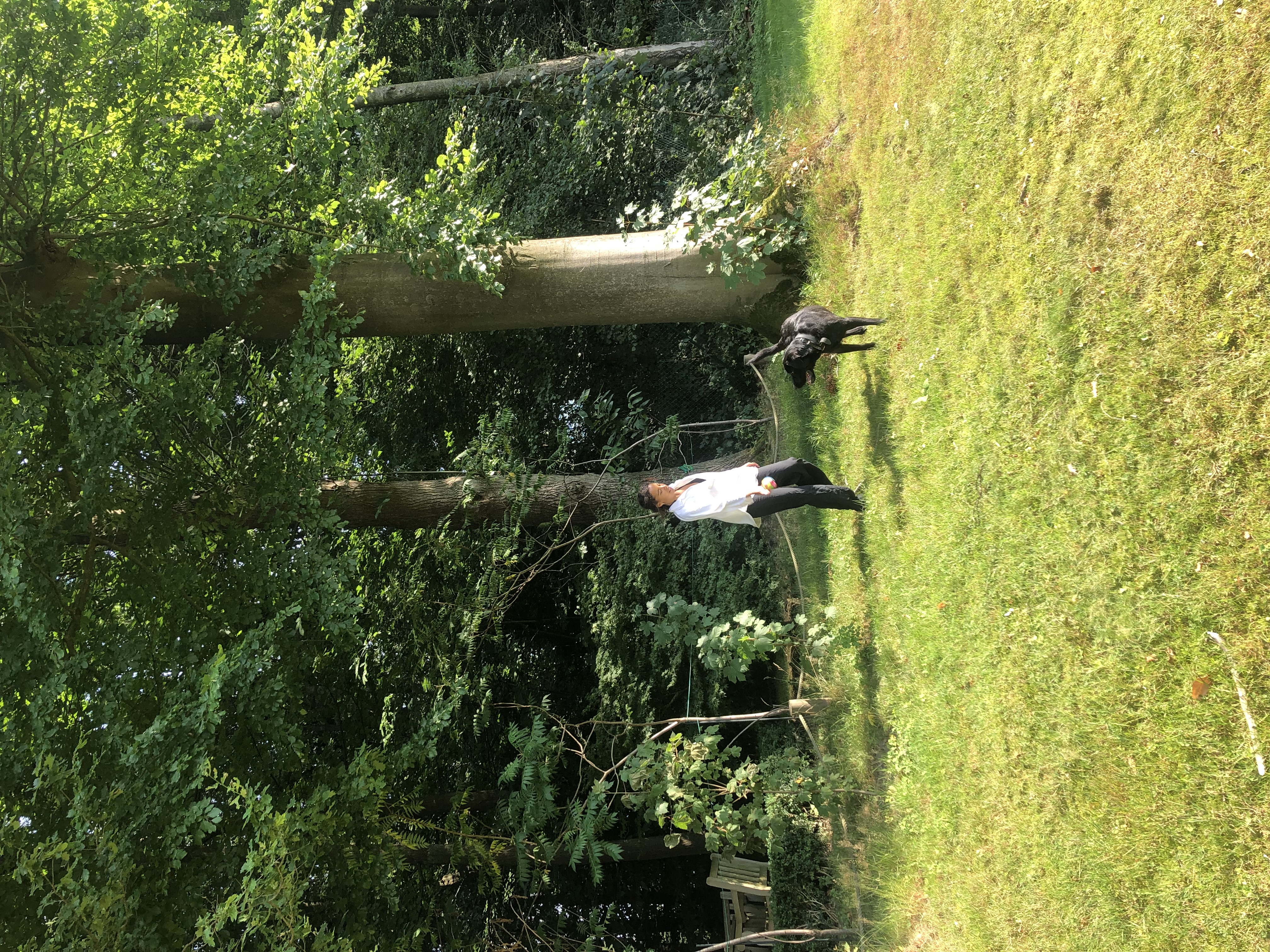 image-5