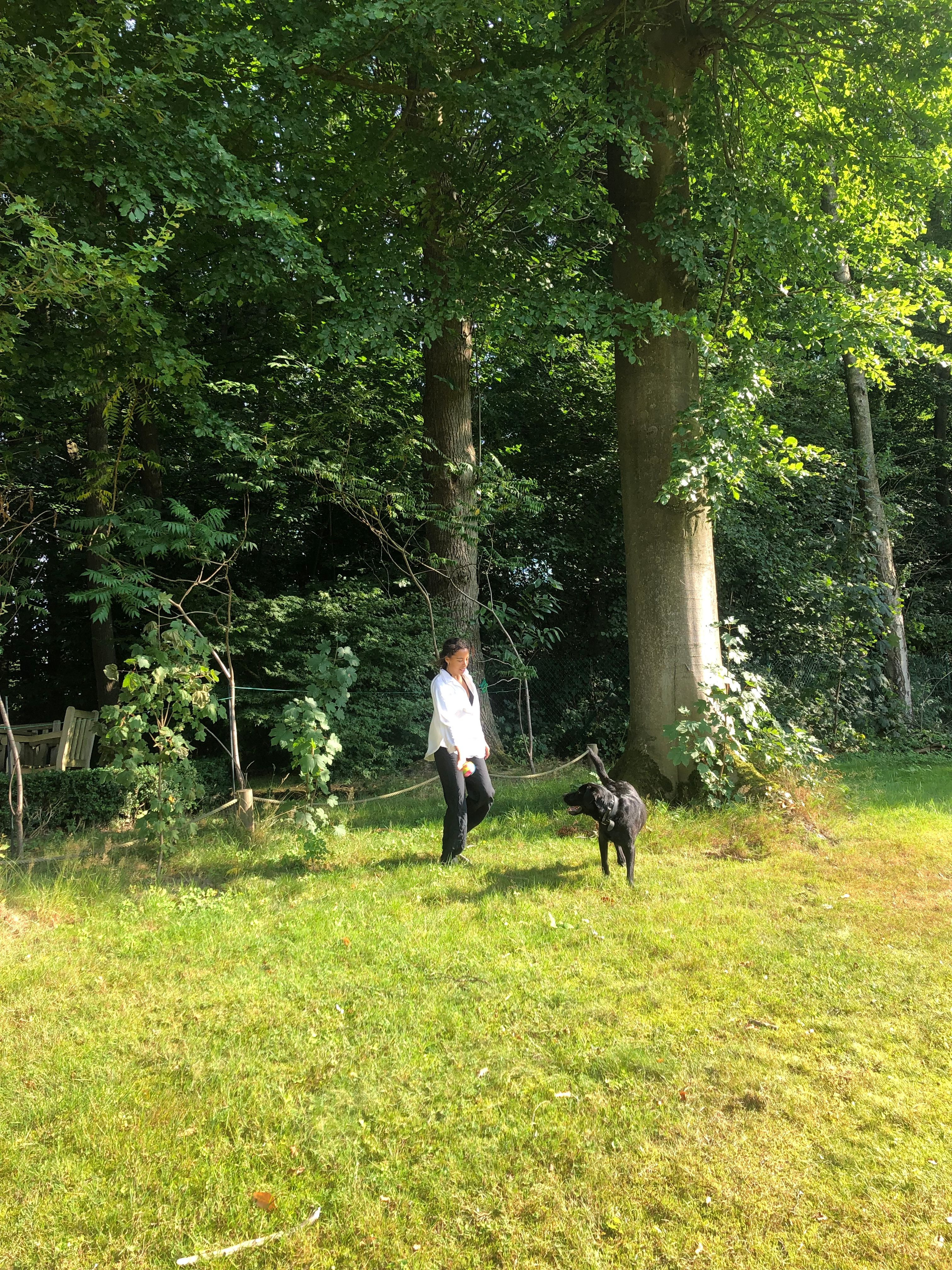 image-5