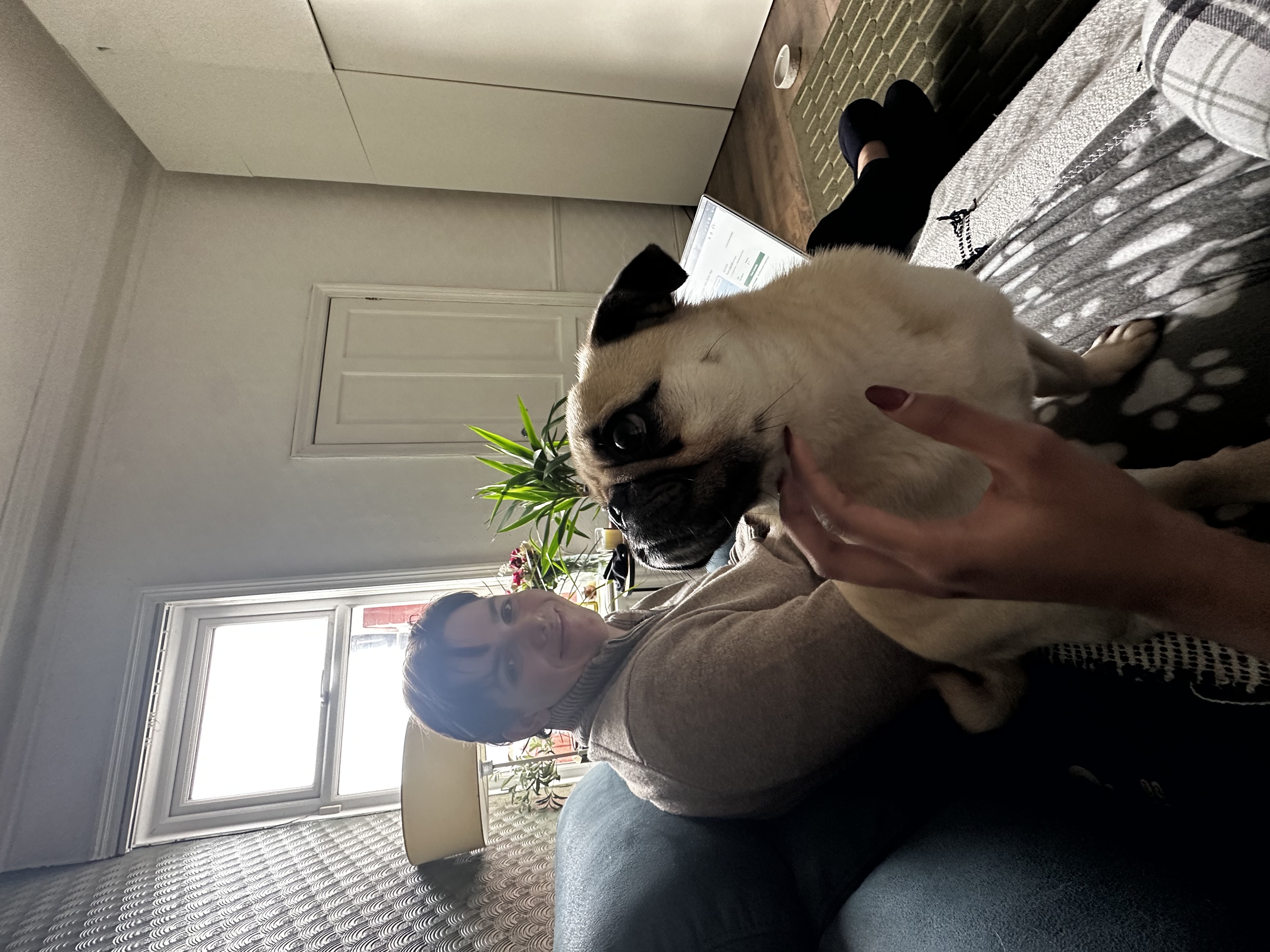 image-14