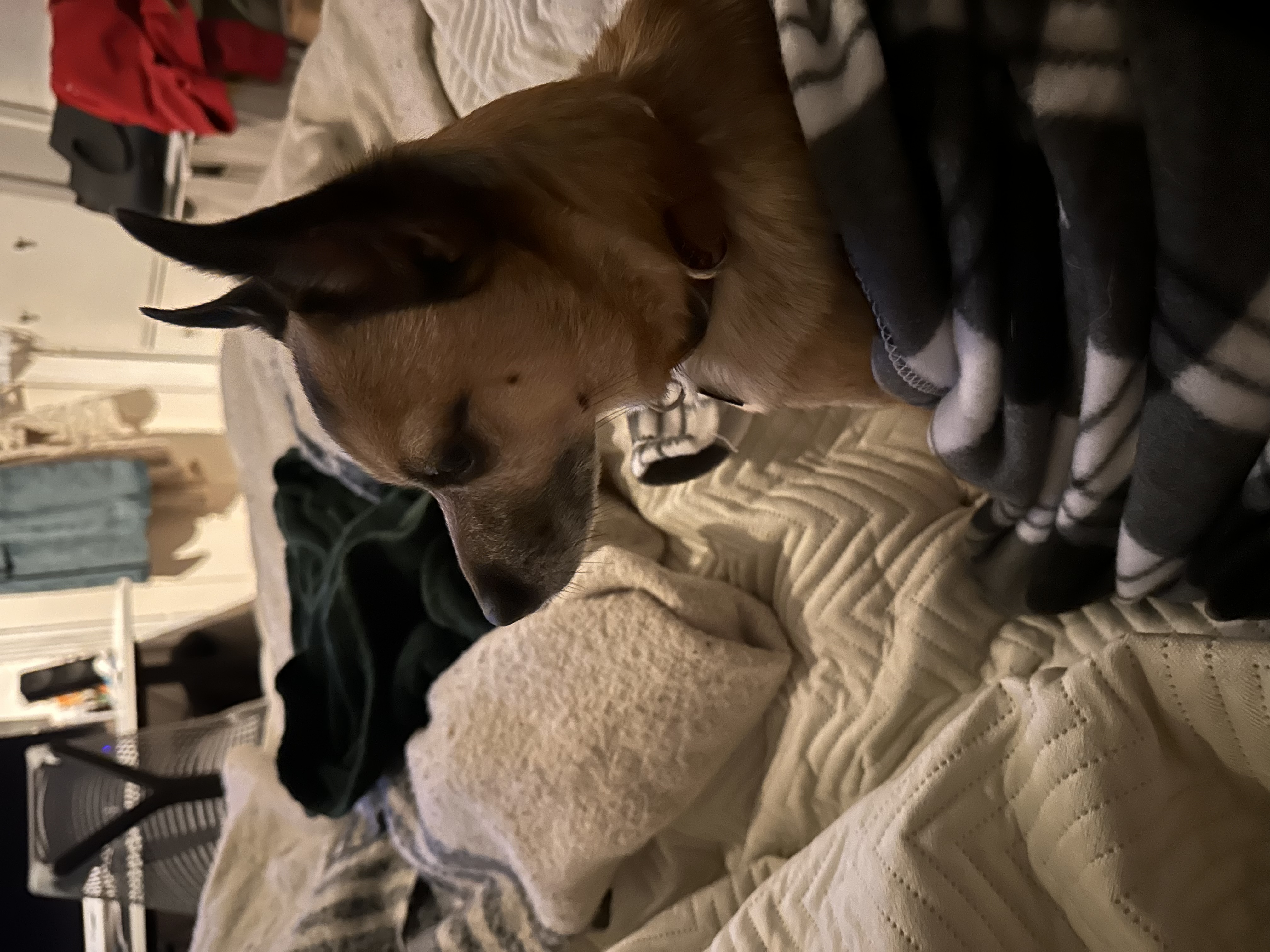 image-8