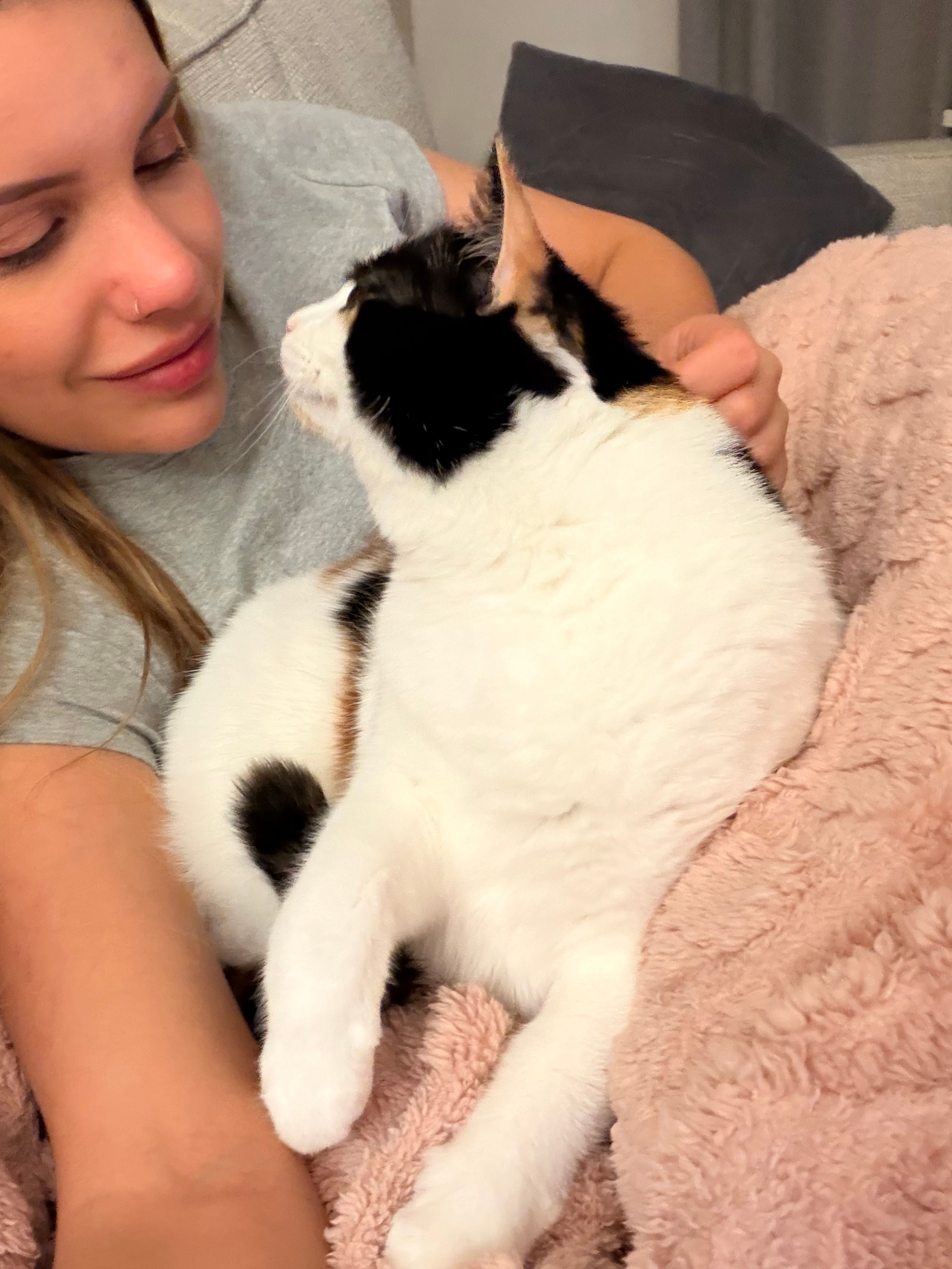 image-18