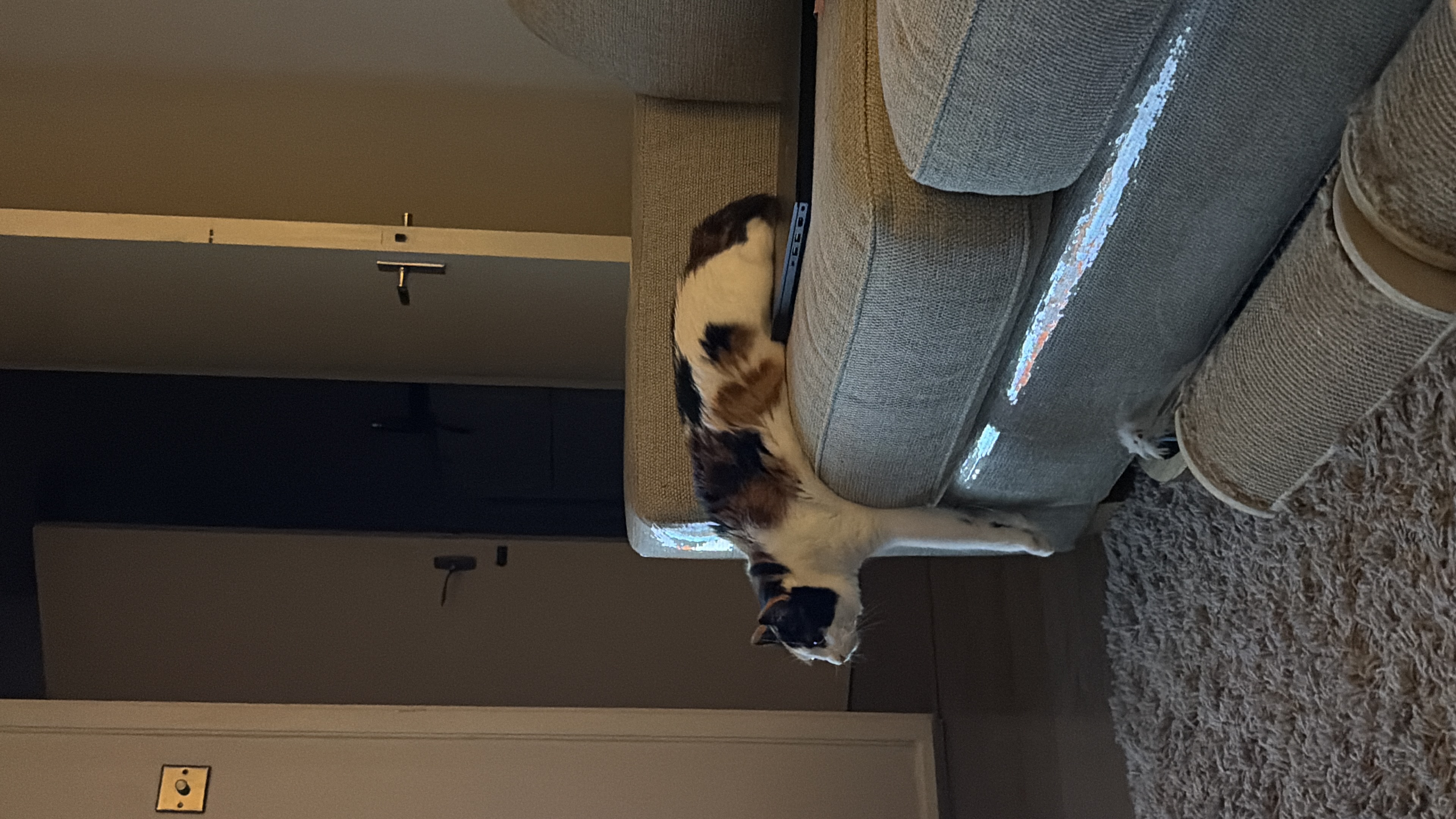 image-15