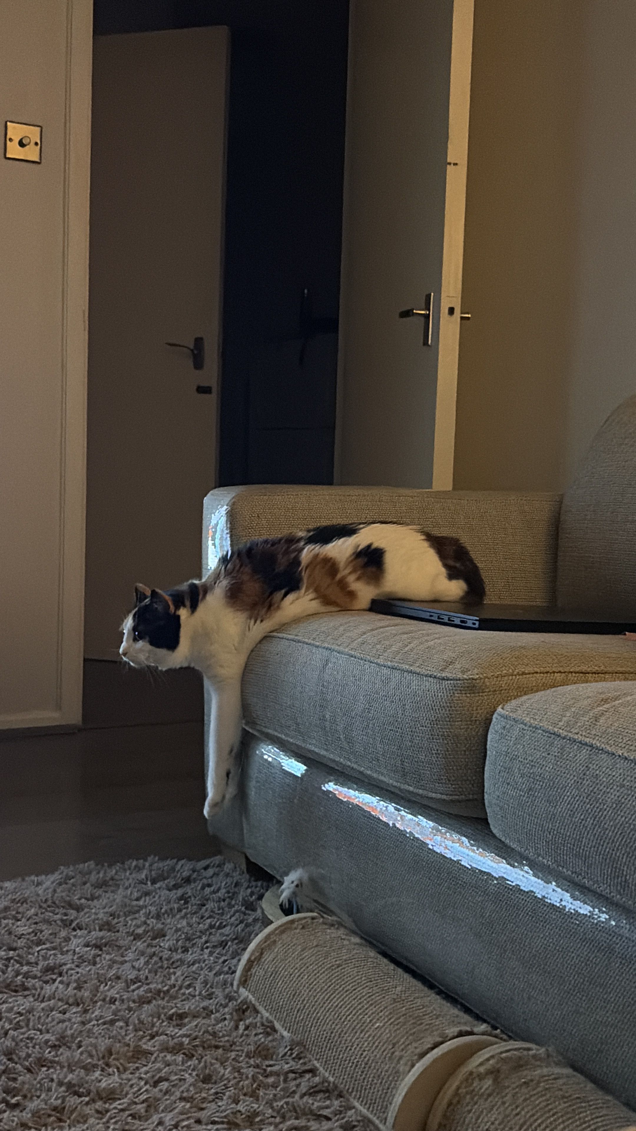 image-15