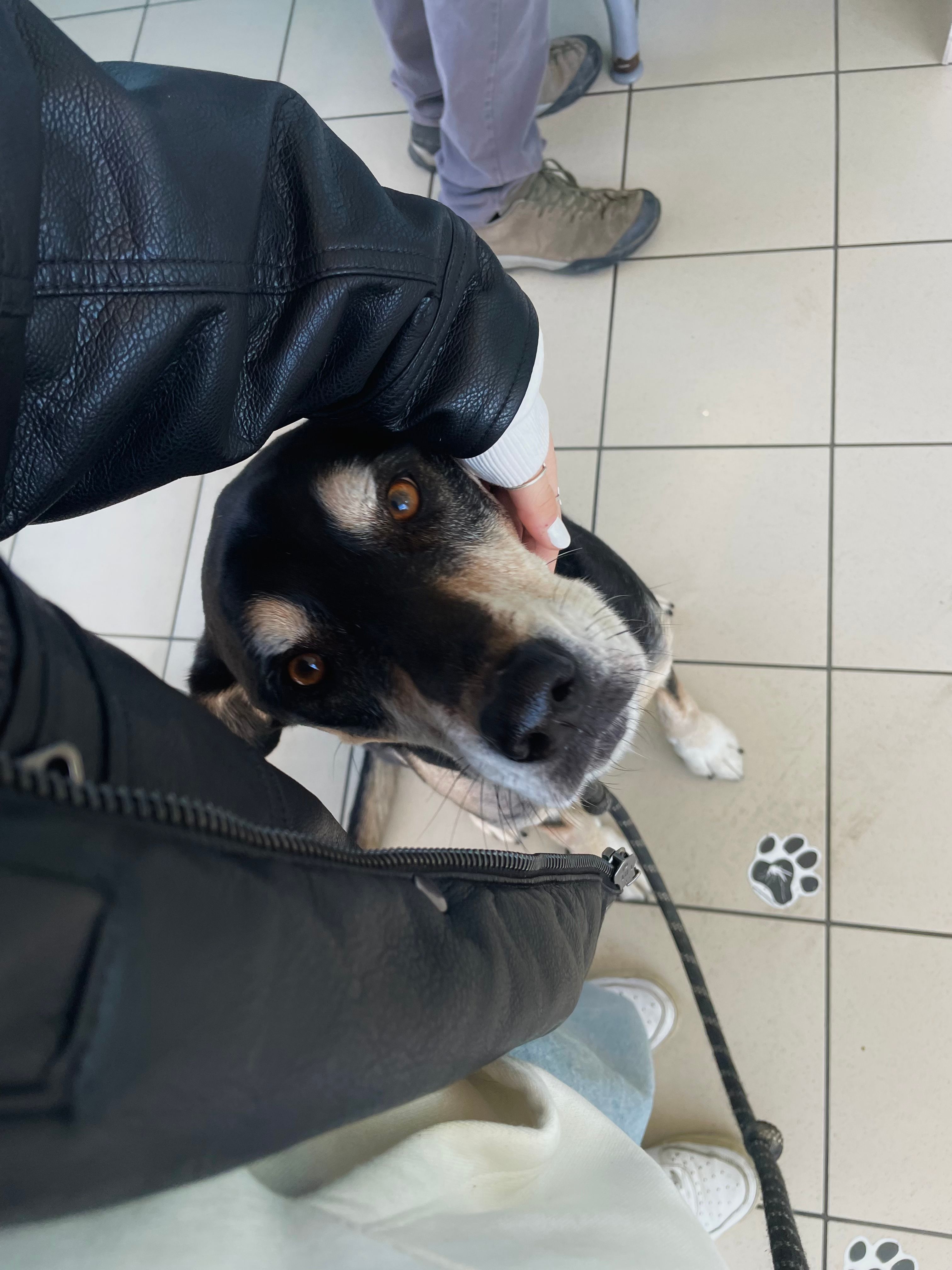 image-6