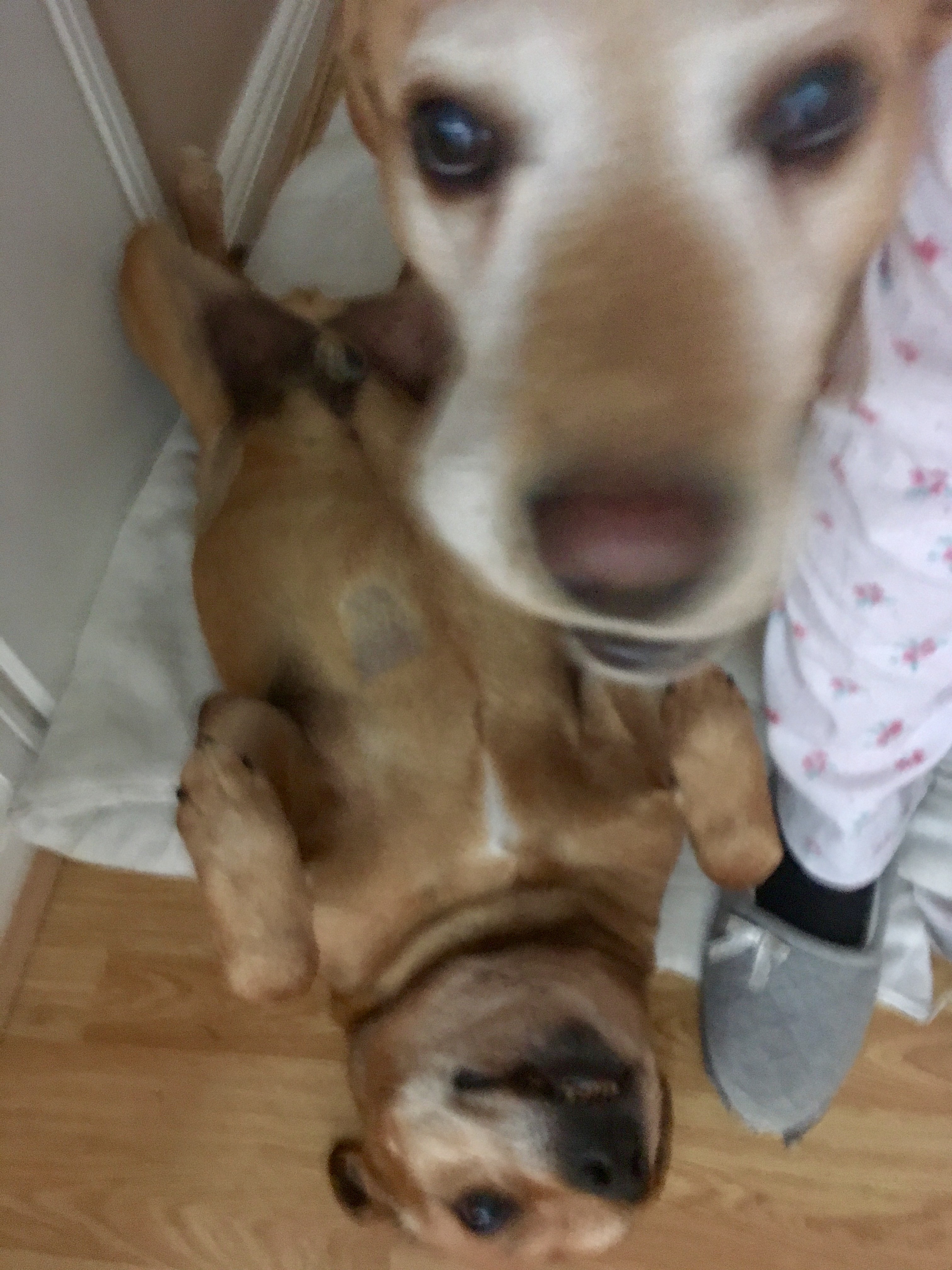 image-9